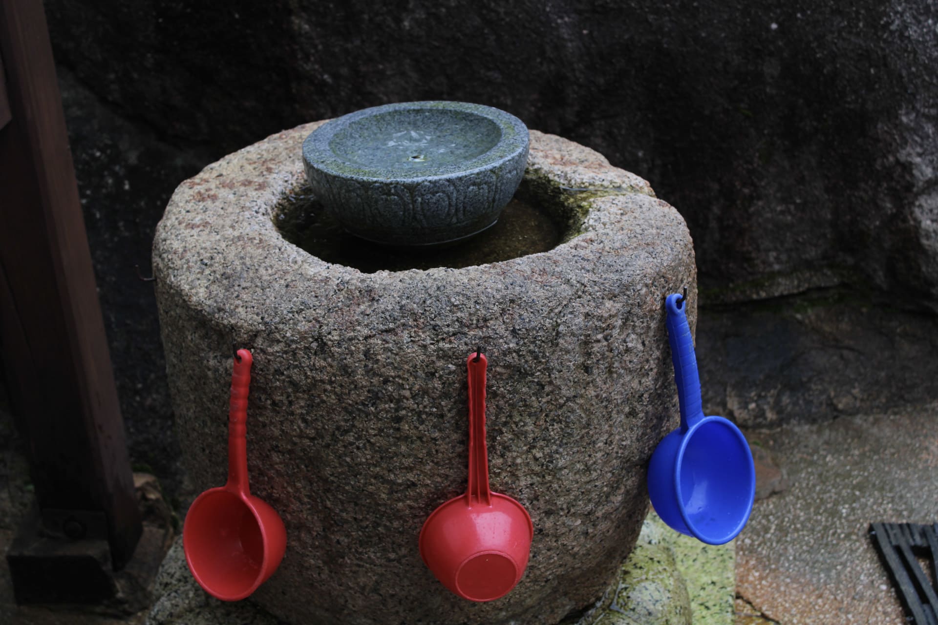 {"caption":[],"type":"external","external":{"url":"https://res.cloudinary.com/dttkrq9dl/image/upload/v1695546608/20230911060455_IMG_9185_omvmb0.jpg"}}