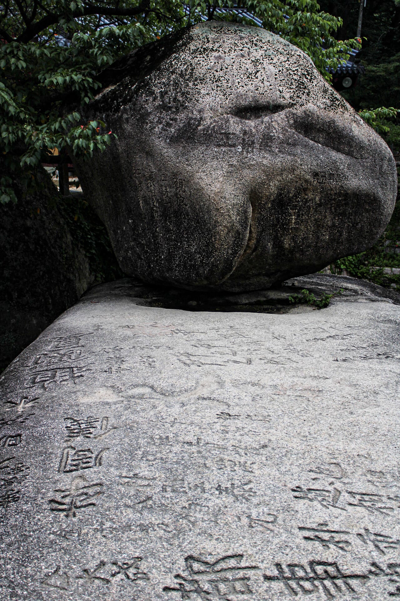 {"caption":[],"type":"external","external":{"url":"https://res.cloudinary.com/dttkrq9dl/image/upload/v1695546608/20230911060806_IMG_9187_tqxgqf.jpg"}}