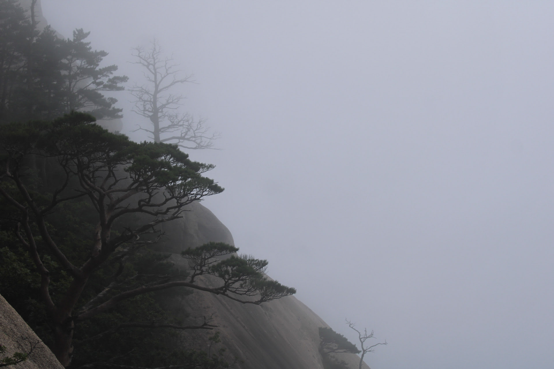 {"caption":[],"type":"external","external":{"url":"https://res.cloudinary.com/dttkrq9dl/image/upload/v1695547120/20230911071150_IMG_9201_frwx20.jpg"}}