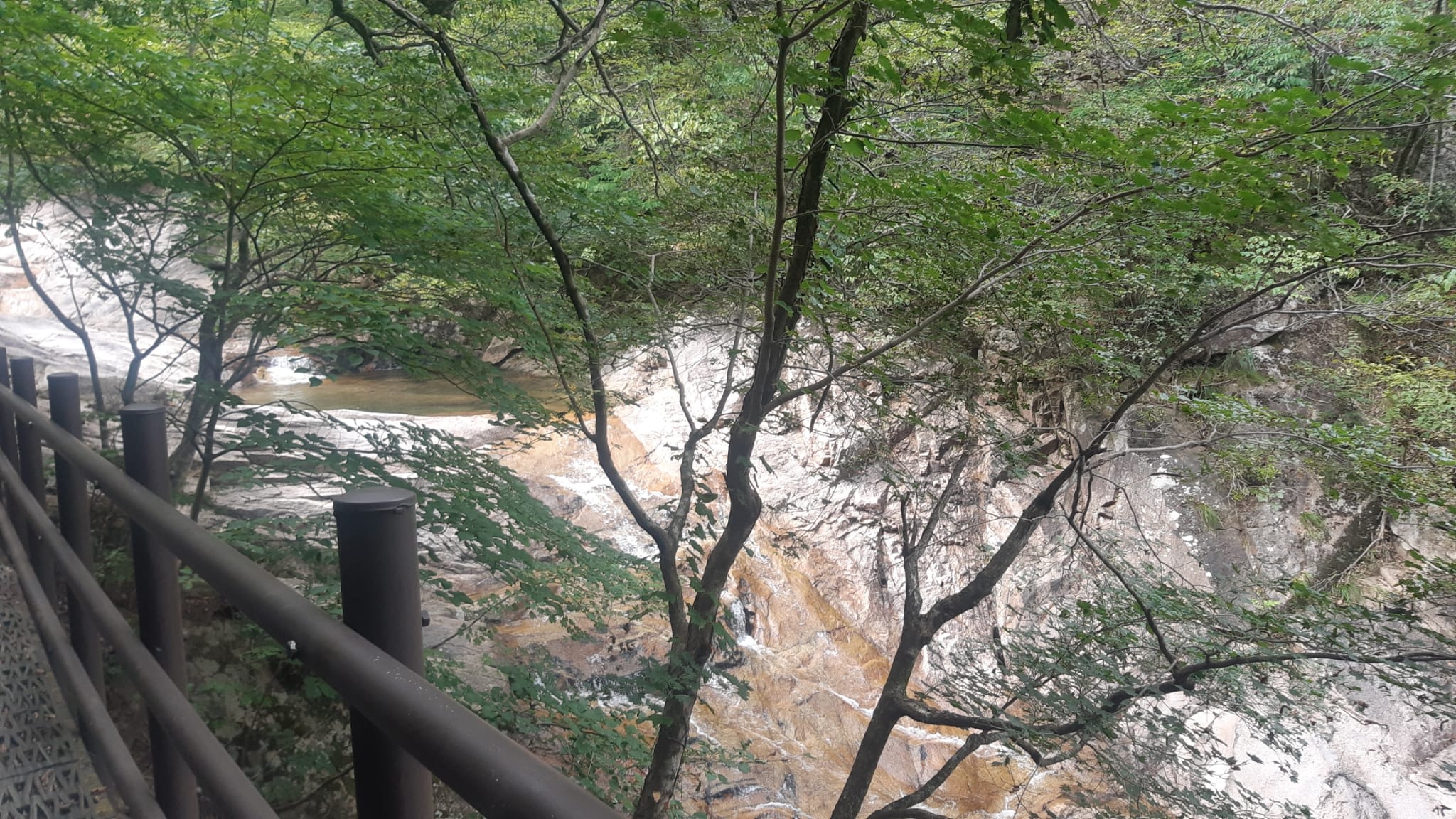 {"caption":[],"type":"external","external":{"url":"https://res.cloudinary.com/dttkrq9dl/image/upload/v1695548065/WhatsApp_Image_2023-09-24_at_18.26.21_ktqzfb.jpg"}}