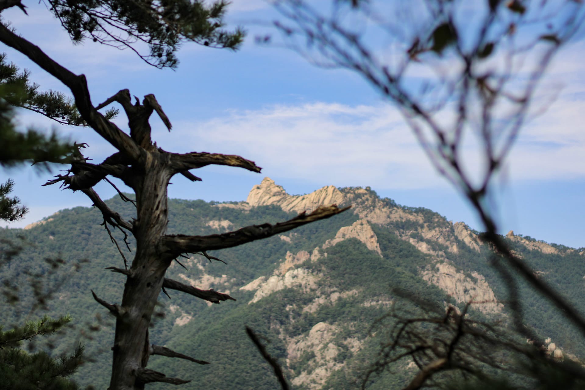 {"caption":[],"type":"external","external":{"url":"https://res.cloudinary.com/dttkrq9dl/image/upload/v1695548066/20230912061112_IMG_9311_r9gihs.jpg"}}