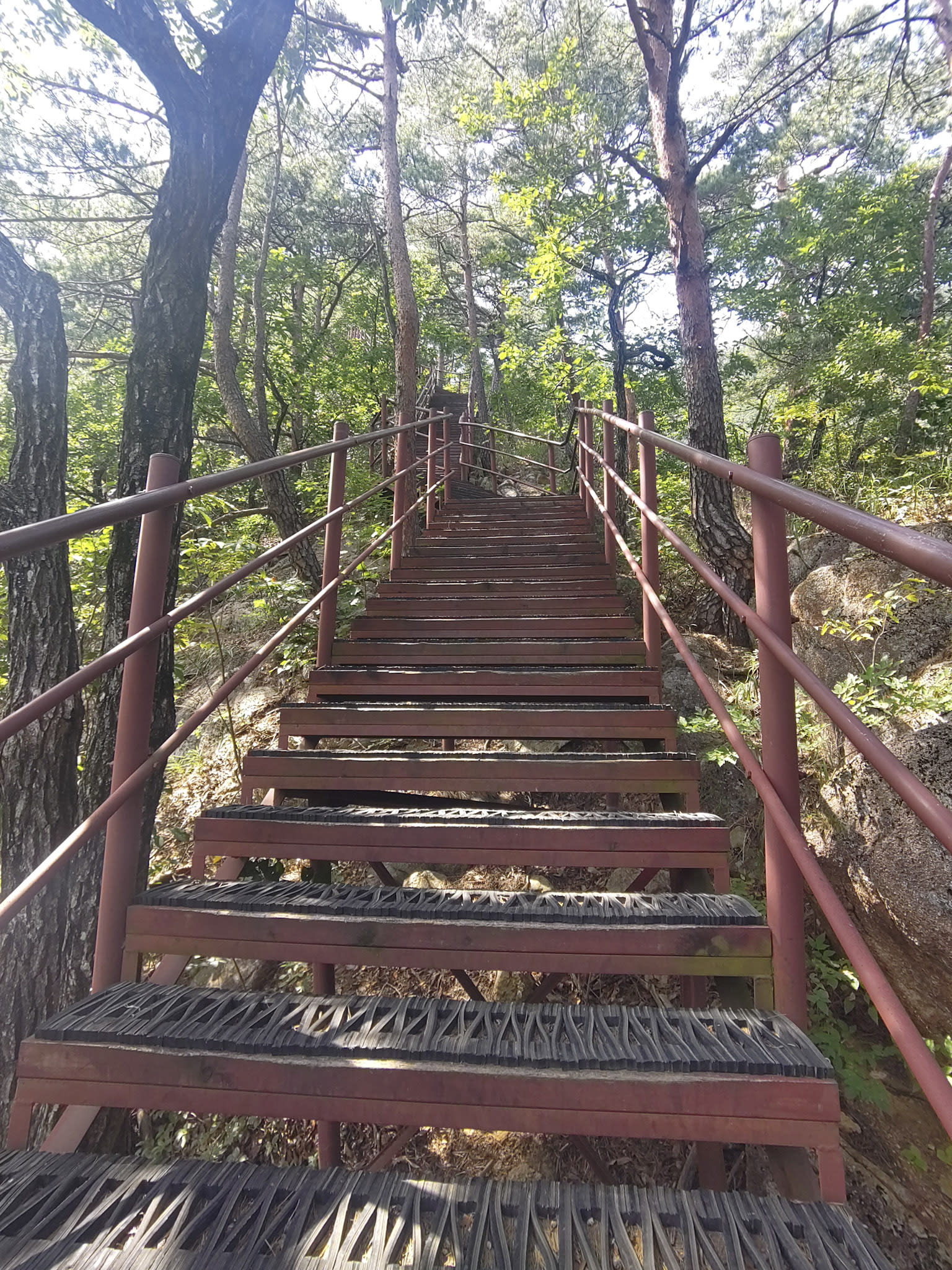 {"caption":[],"type":"external","external":{"url":"https://res.cloudinary.com/dttkrq9dl/image/upload/v1695548070/IMG_20230912_131325_id7stm.jpg"}}