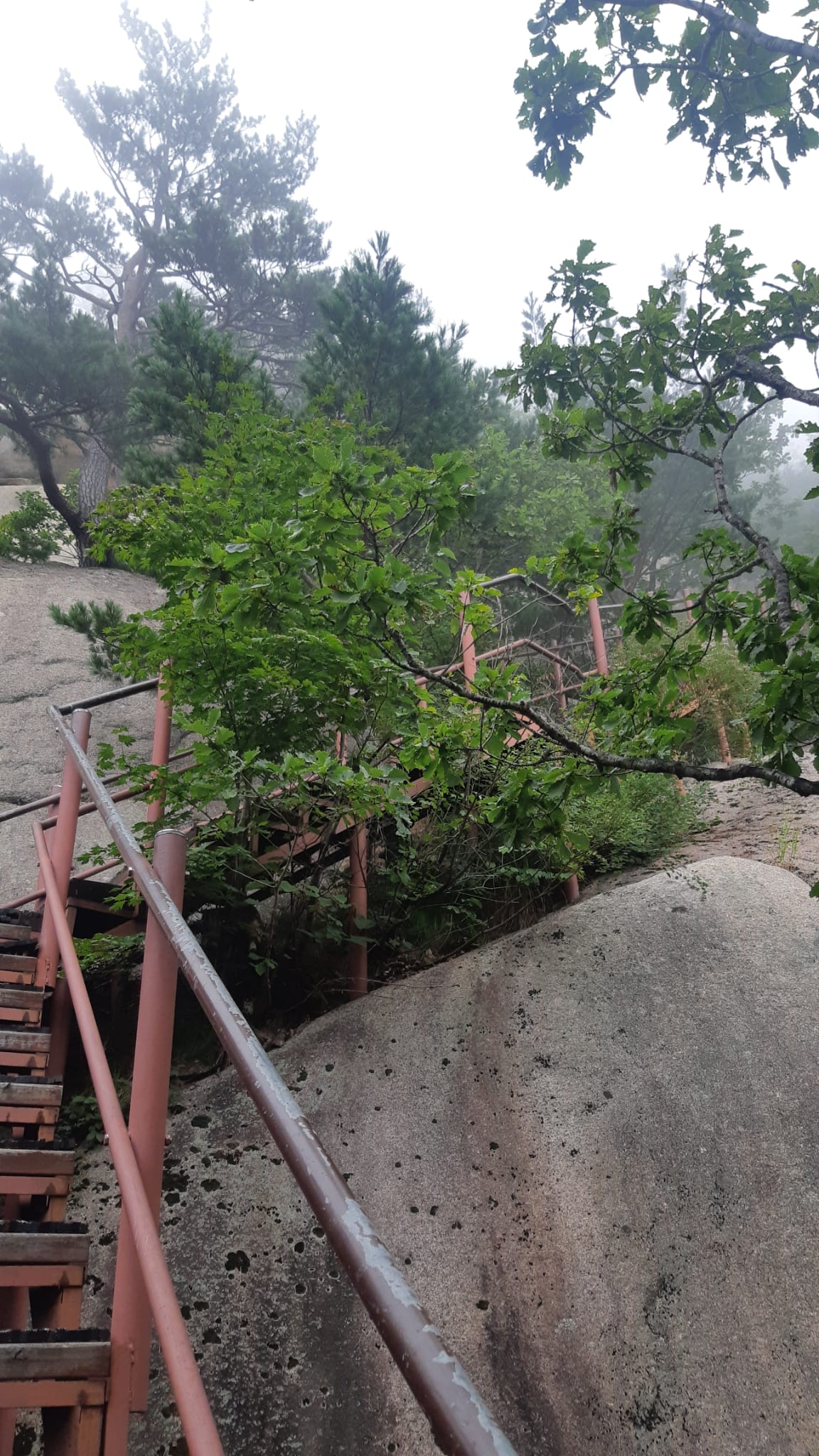 {"caption":[],"type":"external","external":{"url":"https://res.cloudinary.com/dttkrq9dl/image/upload/v1695549528/WhatsApp_Image_2023-09-24_at_18.57.55_kqnhrj.jpg"}}