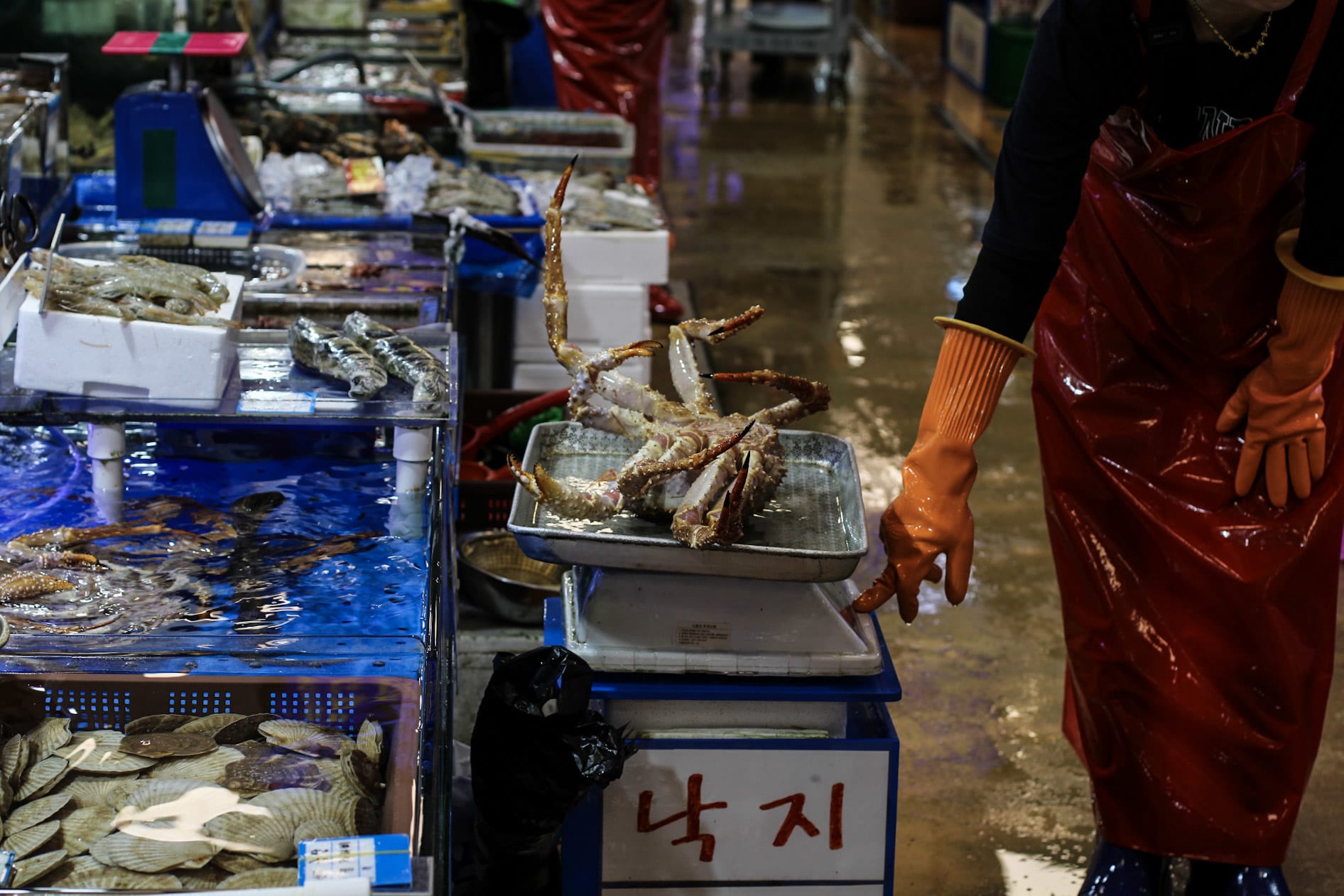 {"caption":[],"type":"external","external":{"url":"https://res.cloudinary.com/dttkrq9dl/image/upload/v1696257907/20230917114641_IMG_9789_escqrz.jpg"}}