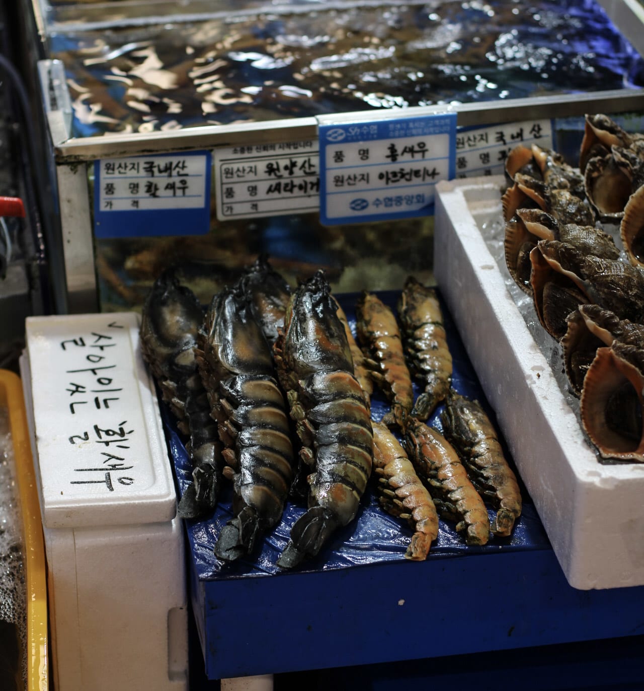 {"caption":[],"type":"external","external":{"url":"https://res.cloudinary.com/dttkrq9dl/image/upload/v1696257907/20230917115042_IMG_9794_qc7xer.jpg"}}