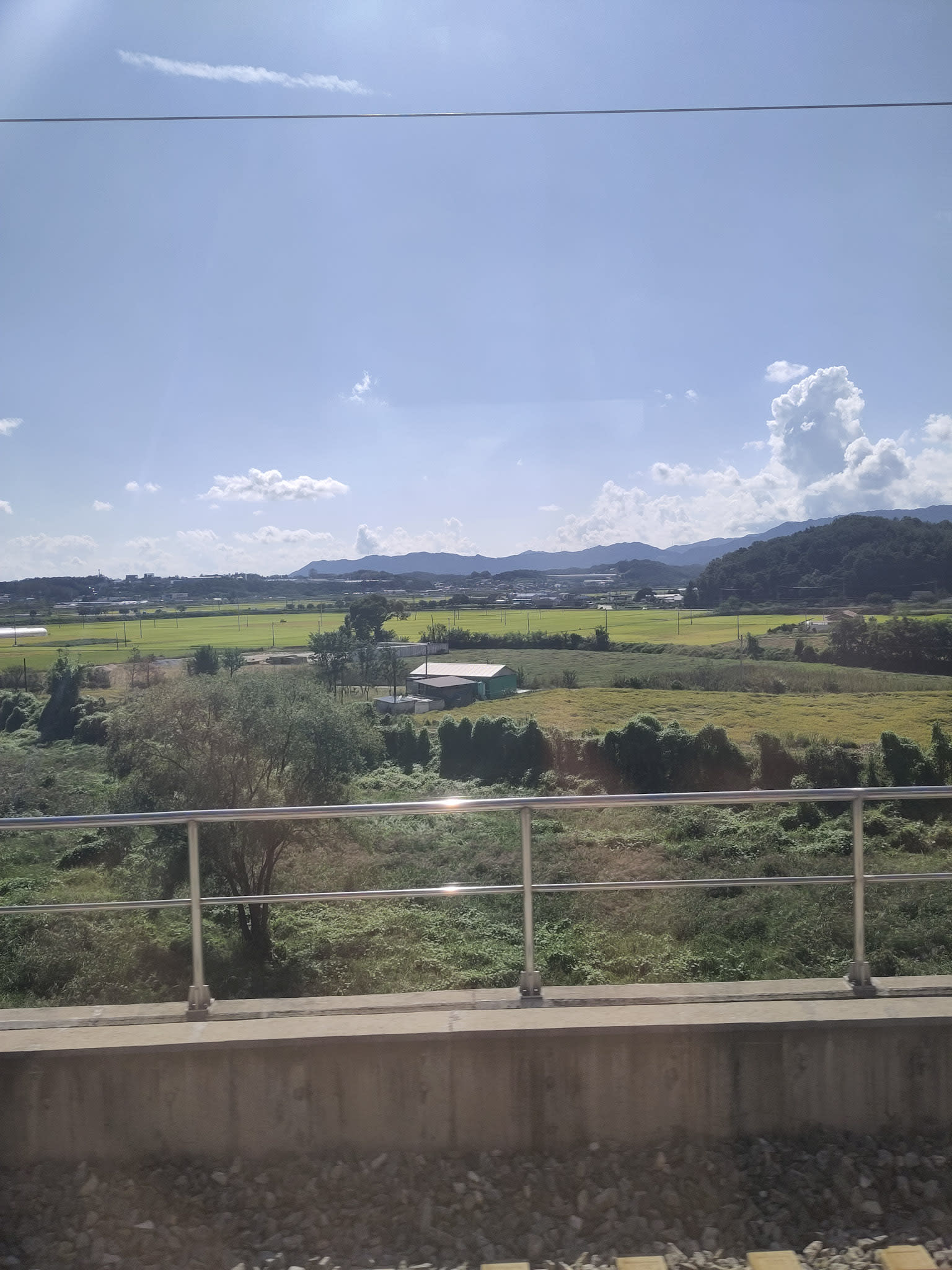 {"caption":[],"type":"external","external":{"url":"https://res.cloudinary.com/dttkrq9dl/image/upload/v1697677878/1-IMG_20230918_141131_kqwueg.jpg"}}