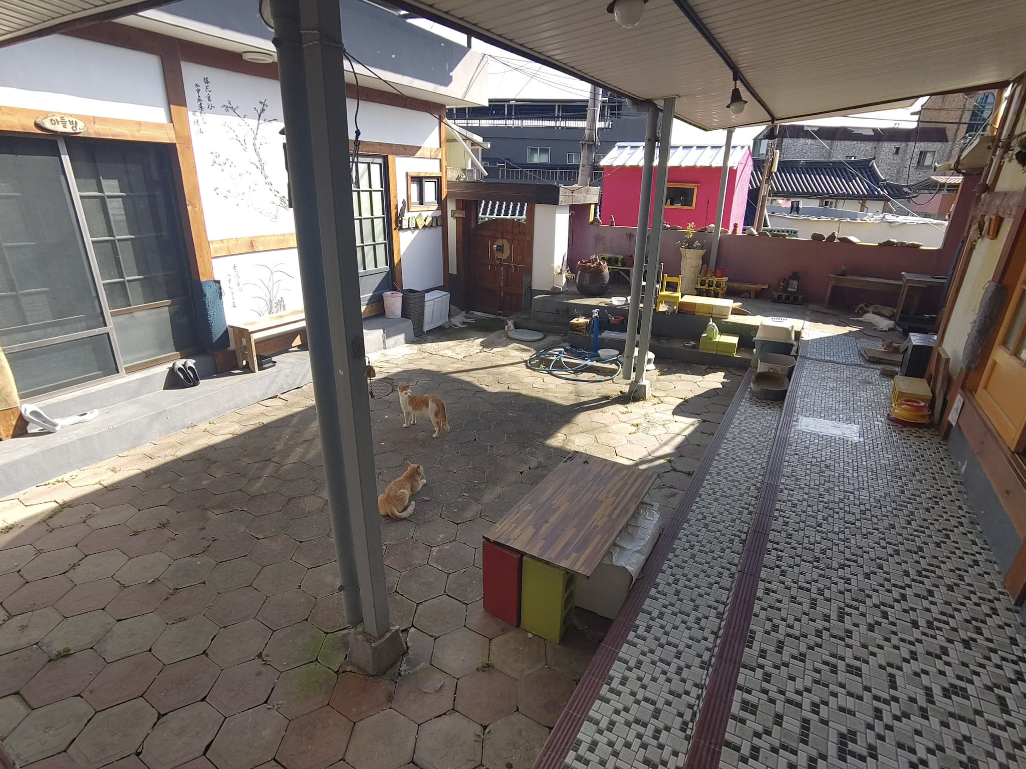 {"caption":[],"type":"external","external":{"url":"https://res.cloudinary.com/dttkrq9dl/image/upload/v1697677878/2-IMG_20230918_154312_hqocnl.jpg"}}