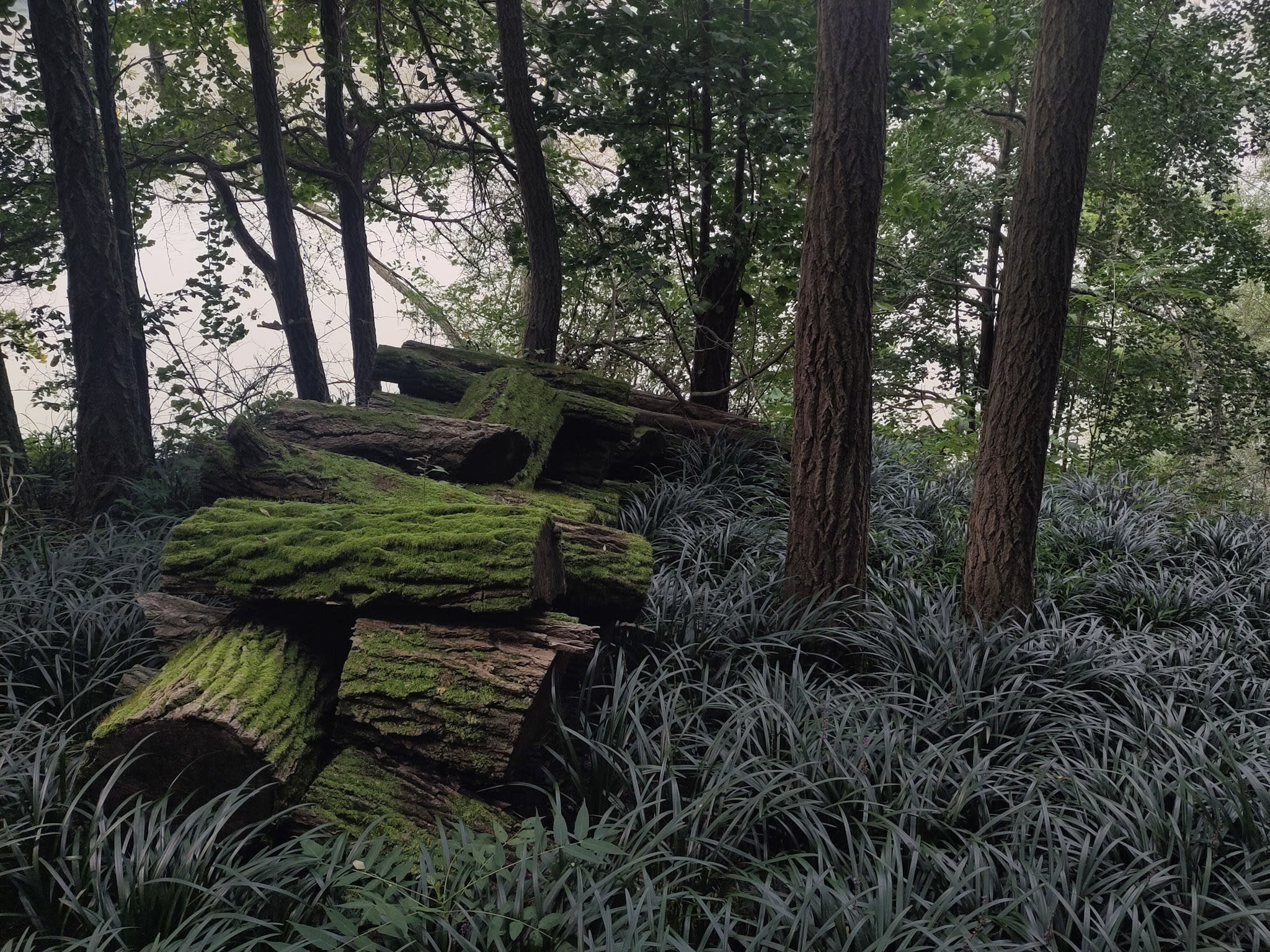 {"caption":[],"type":"external","external":{"url":"https://res.cloudinary.com/dttkrq9dl/image/upload/v1697677879/10-IMG_20230919_145957_mkovac.jpg"}}