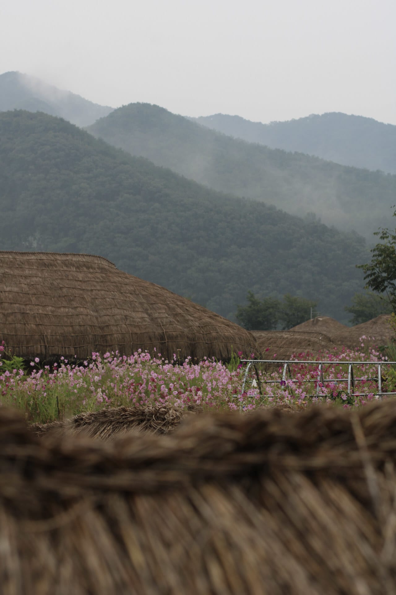 {"caption":[],"type":"external","external":{"url":"https://res.cloudinary.com/dttkrq9dl/image/upload/v1697677881/18-20230920122826_IMG_9975_ifxn4d.jpg"}}