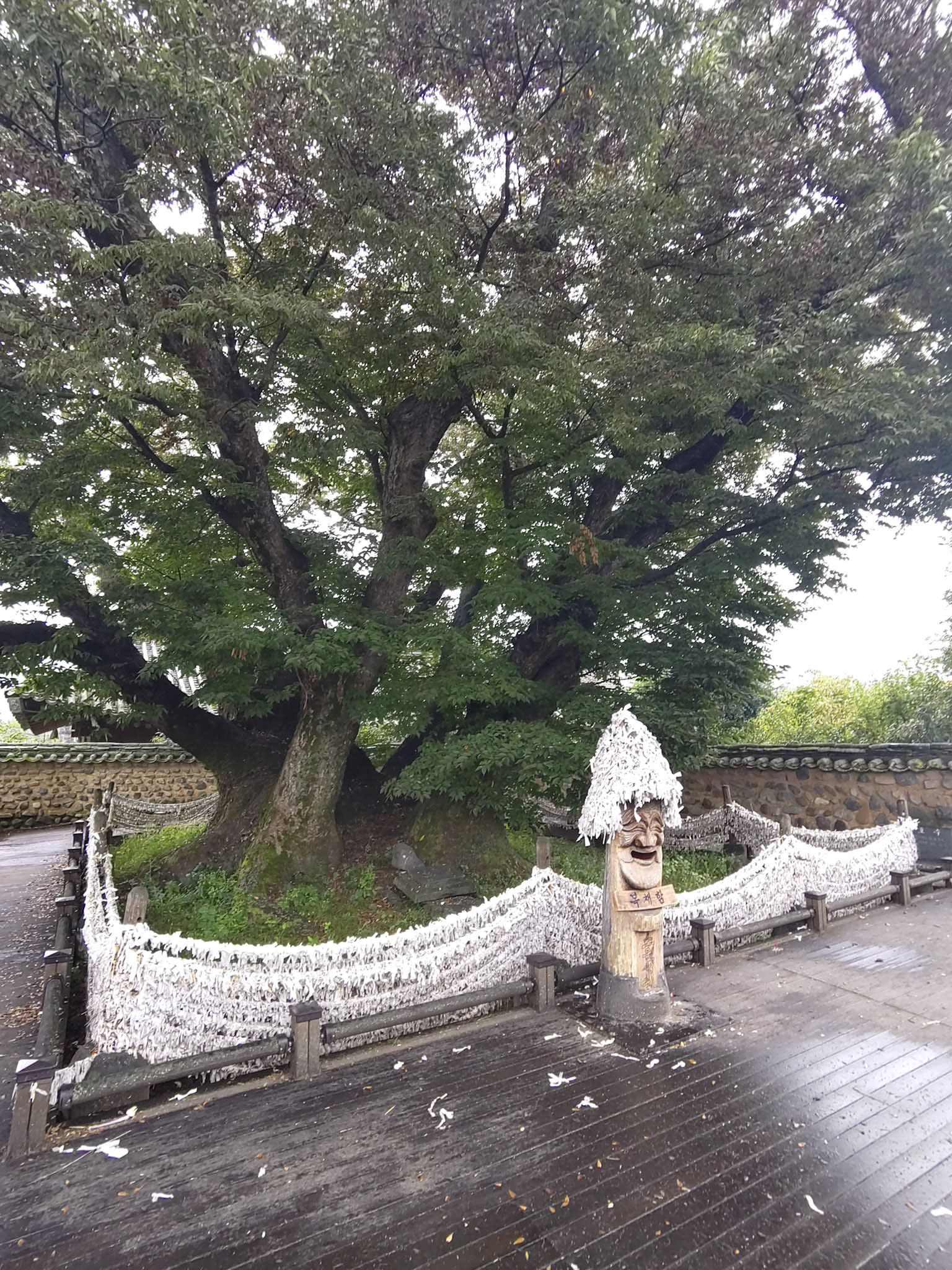 {"caption":[],"type":"external","external":{"url":"https://res.cloudinary.com/dttkrq9dl/image/upload/v1697677882/19-IMG_20230920_123805_oqtyau.jpg"}}