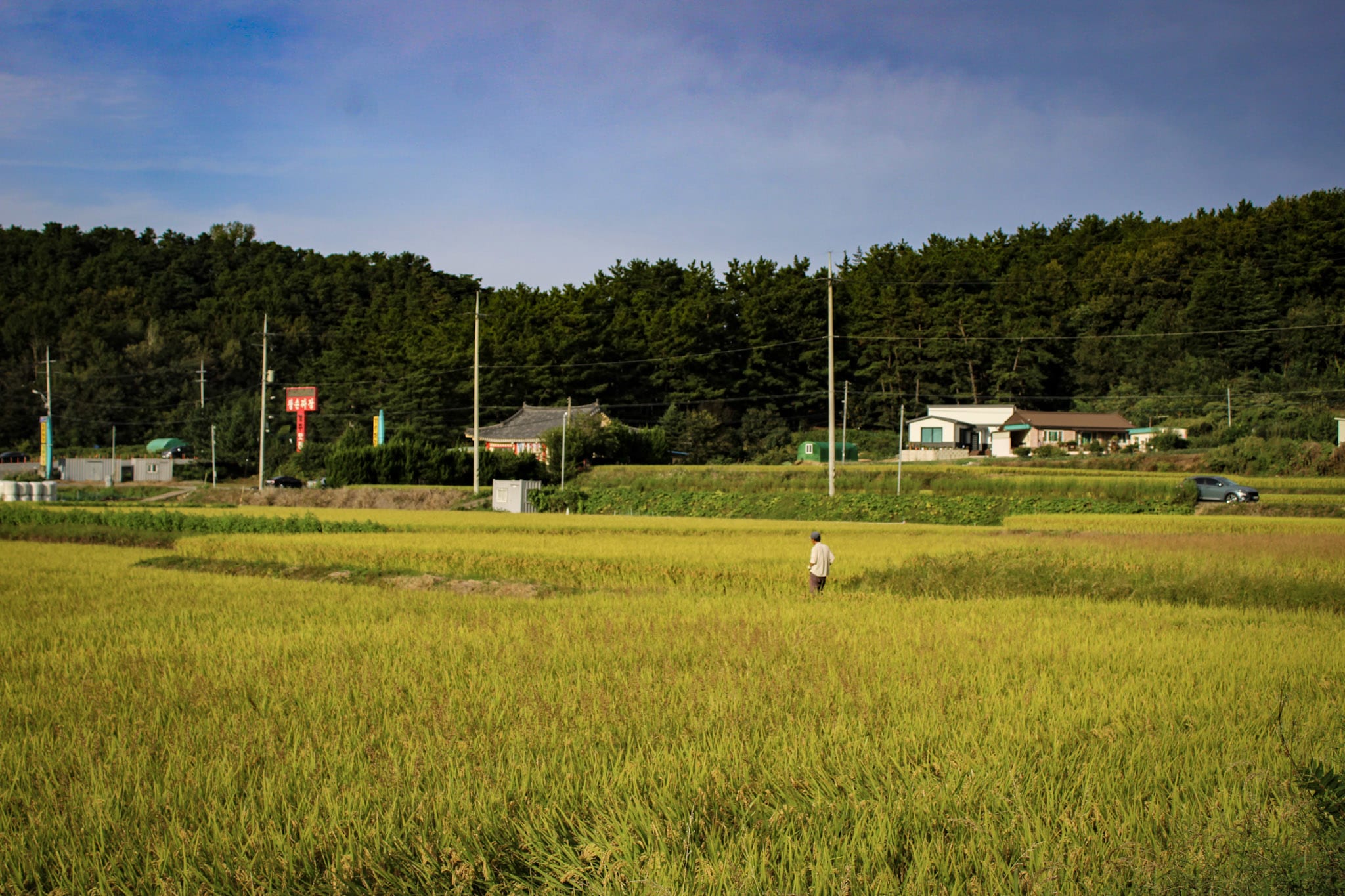 {"caption":[],"type":"external","external":{"url":"https://res.cloudinary.com/dttkrq9dl/image/upload/v1699346028/9-IMG_0345_cs1735.jpg"}}