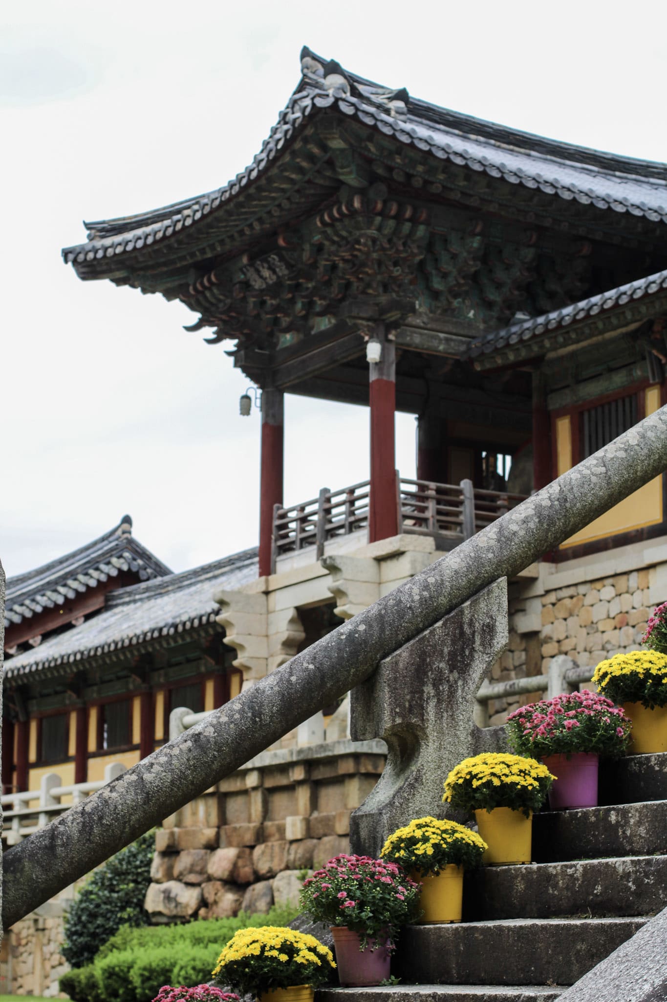 {"caption":[],"type":"external","external":{"url":"https://res.cloudinary.com/dttkrq9dl/image/upload/v1699346031/20-IMG_0216_zcfq2b.jpg"}}