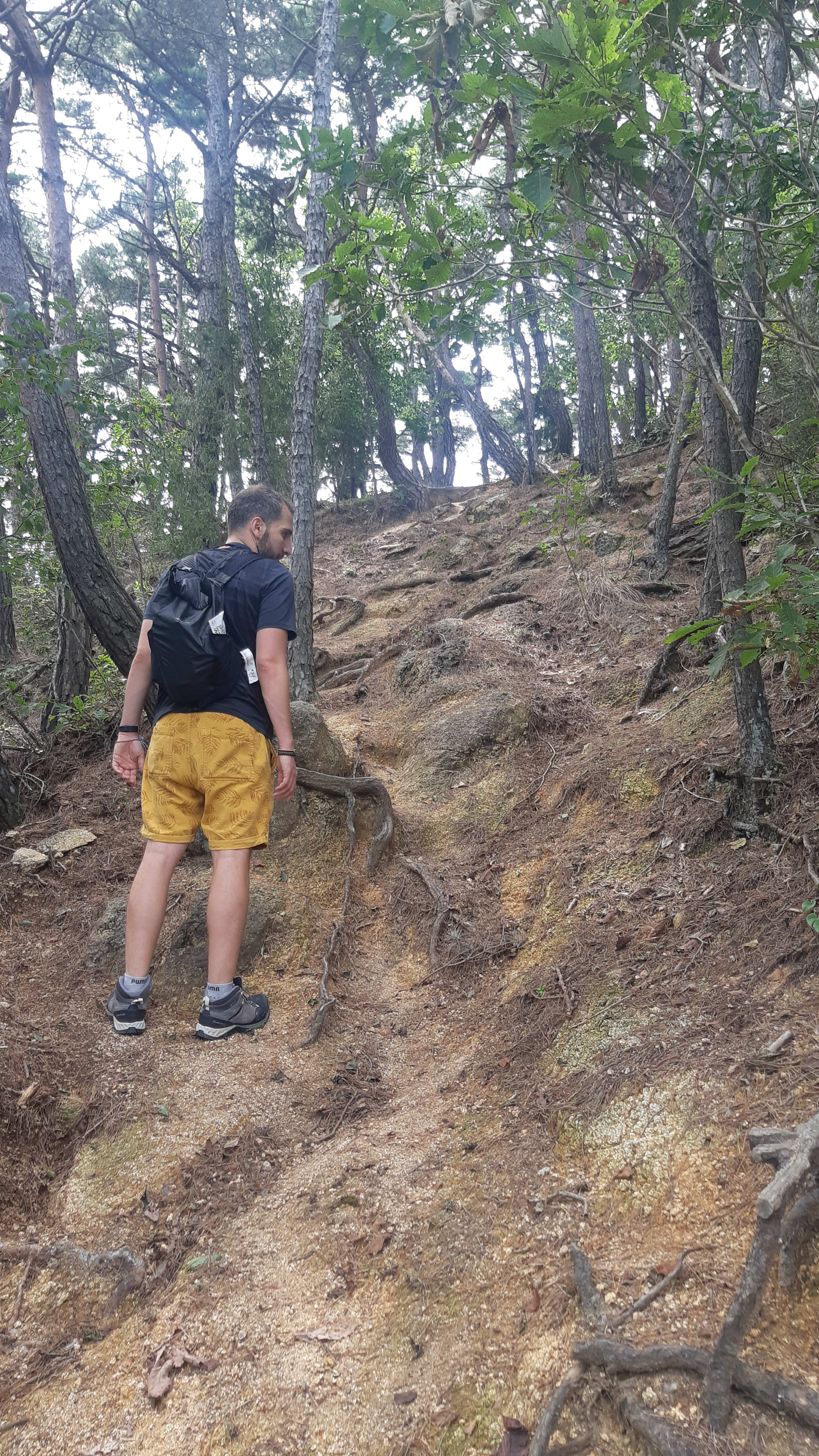 {"caption":[],"type":"external","external":{"url":"https://res.cloudinary.com/dttkrq9dl/image/upload/v1699347502/20230923_130932_hbioom.jpg"}}