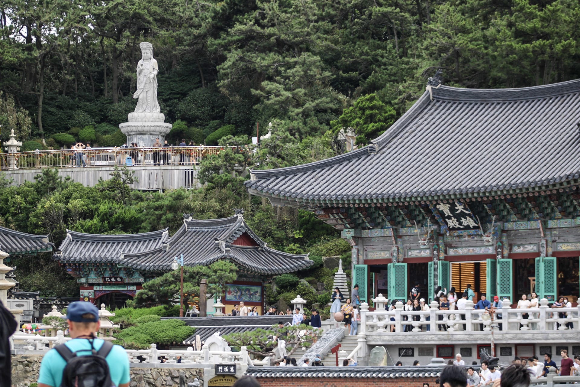 {"caption":[],"type":"external","external":{"url":"https://res.cloudinary.com/dttkrq9dl/image/upload/v1700054599/6-20230925154115_IMG_0372_jfakcg.jpg"}}