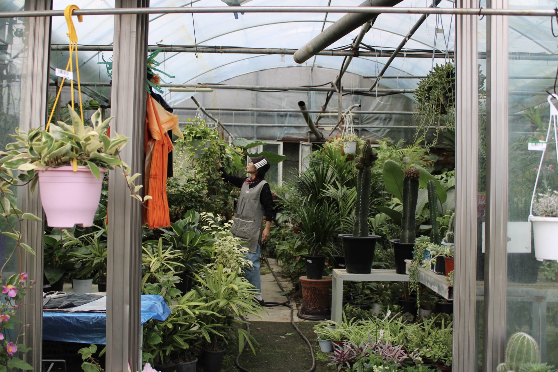 {"caption":[],"type":"external","external":{"url":"https://res.cloudinary.com/dttkrq9dl/image/upload/v1700054608/28-20230927122731_IMG_0500_butxzg.jpg"}}