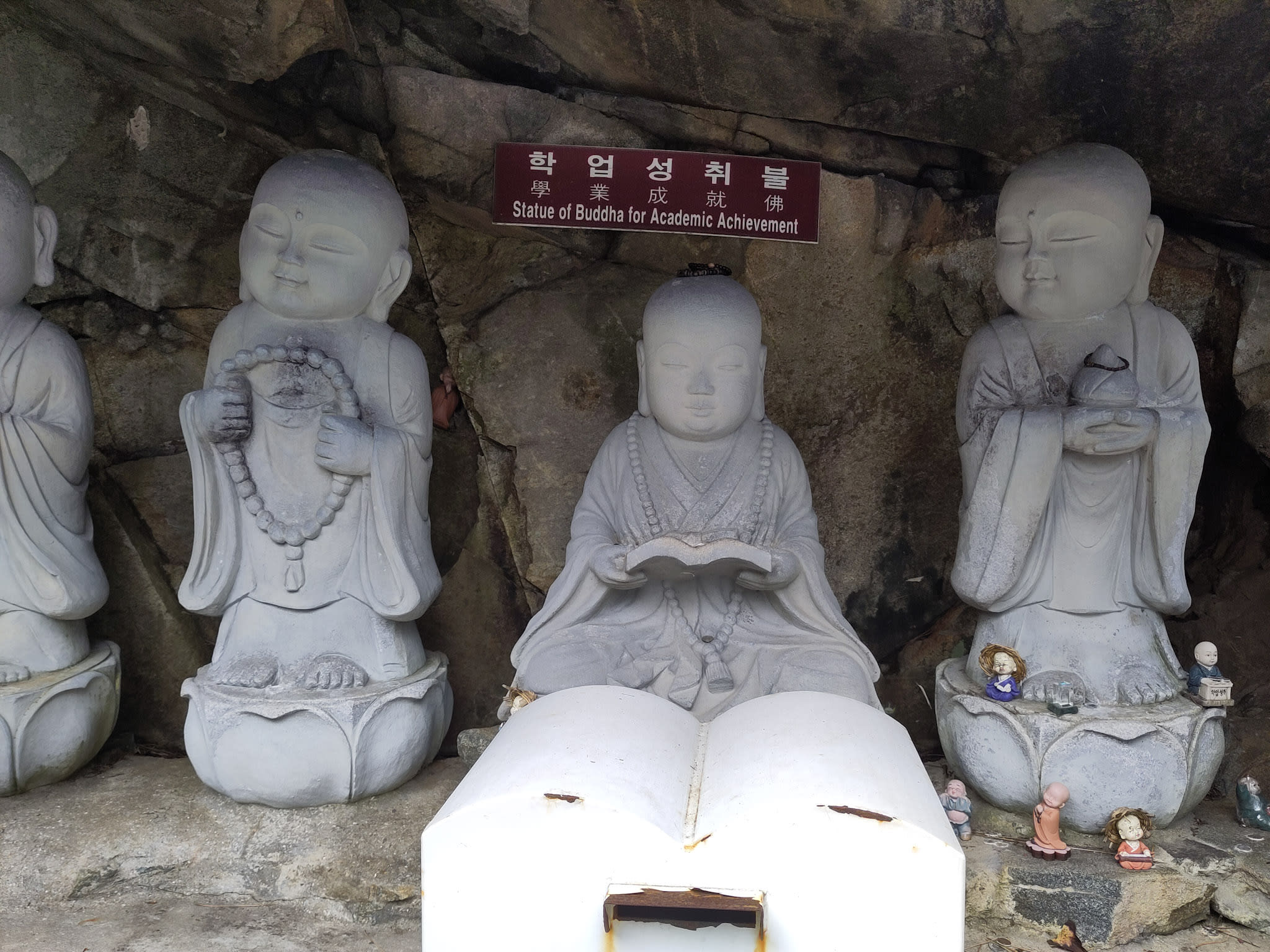 {"caption":[],"type":"external","external":{"url":"https://res.cloudinary.com/dttkrq9dl/image/upload/v1700055986/2-IMG_20230925_153227_ou2ukx.jpg"}}