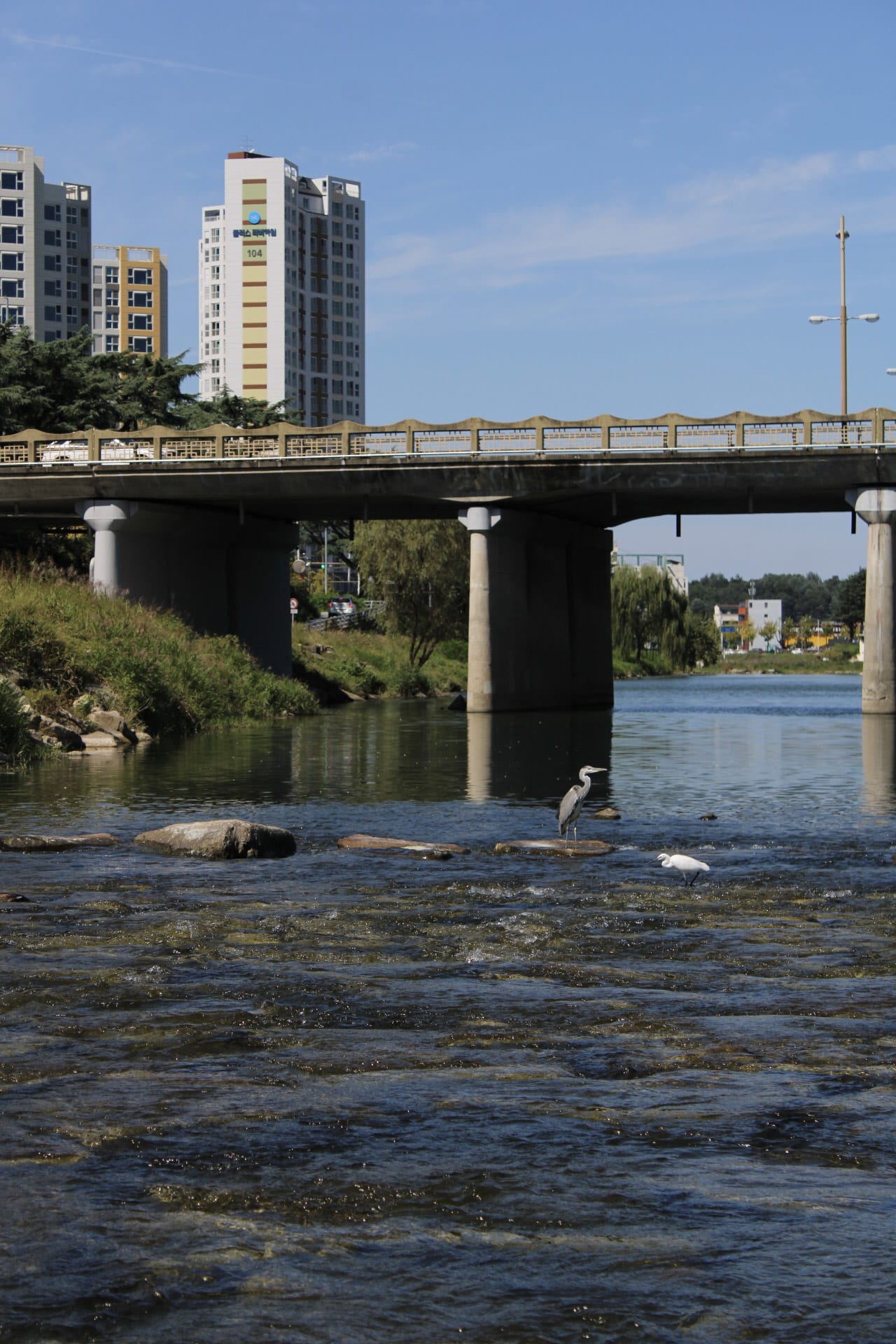 {"caption":[],"type":"external","external":{"url":"https://res.cloudinary.com/dttkrq9dl/image/upload/v1701665543/4-20231002125021_IMG_0786_dgnwa4.jpg"}}