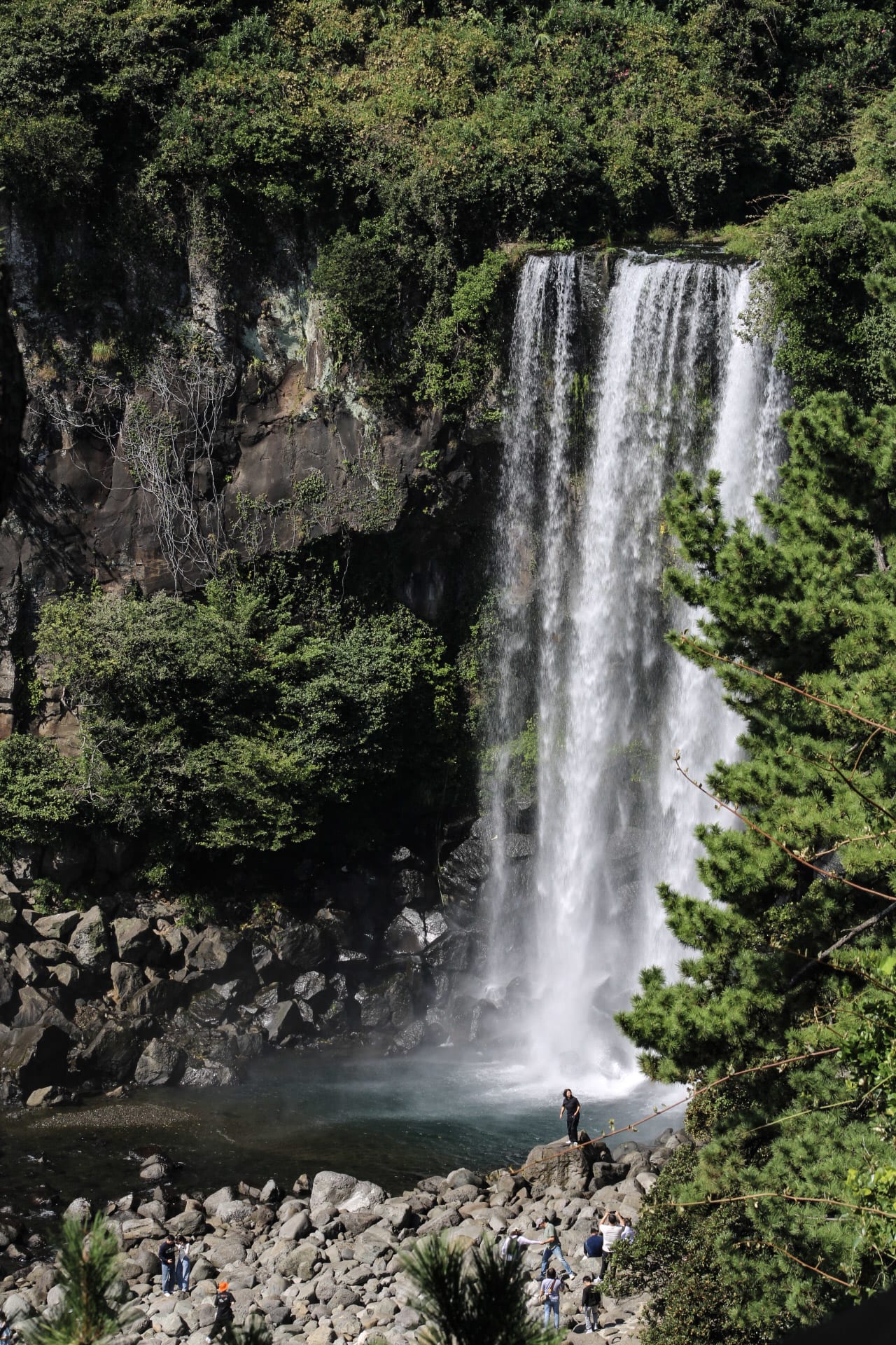 {"caption":[],"type":"external","external":{"url":"https://res.cloudinary.com/dttkrq9dl/image/upload/v1703586527/20231005112433_IMG_1051_1_riekf2.jpg"}}