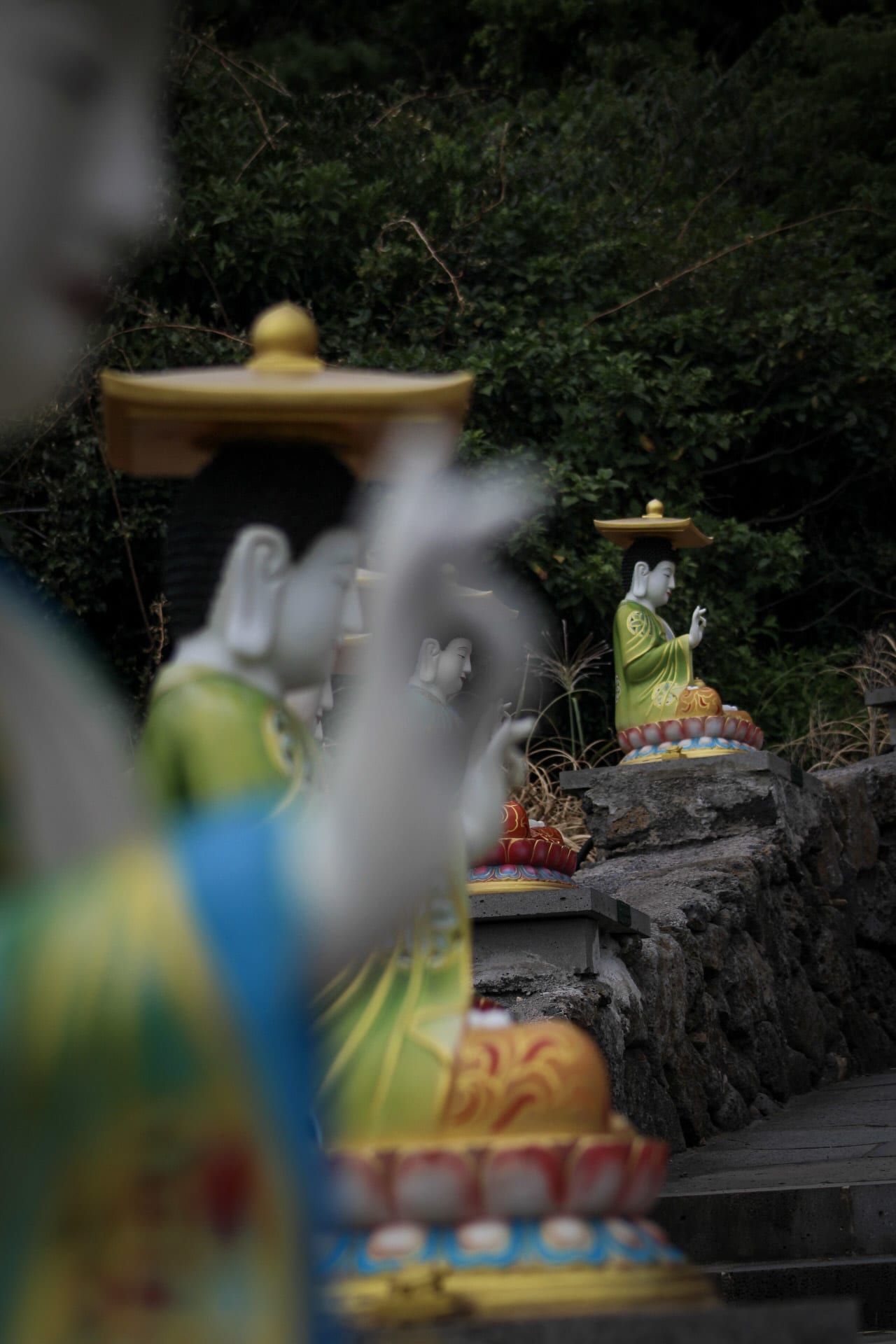 {"caption":[],"type":"external","external":{"url":"https://res.cloudinary.com/dttkrq9dl/image/upload/v1703586528/20231006124511_IMG_1240_1_irz5mr.jpg"}}