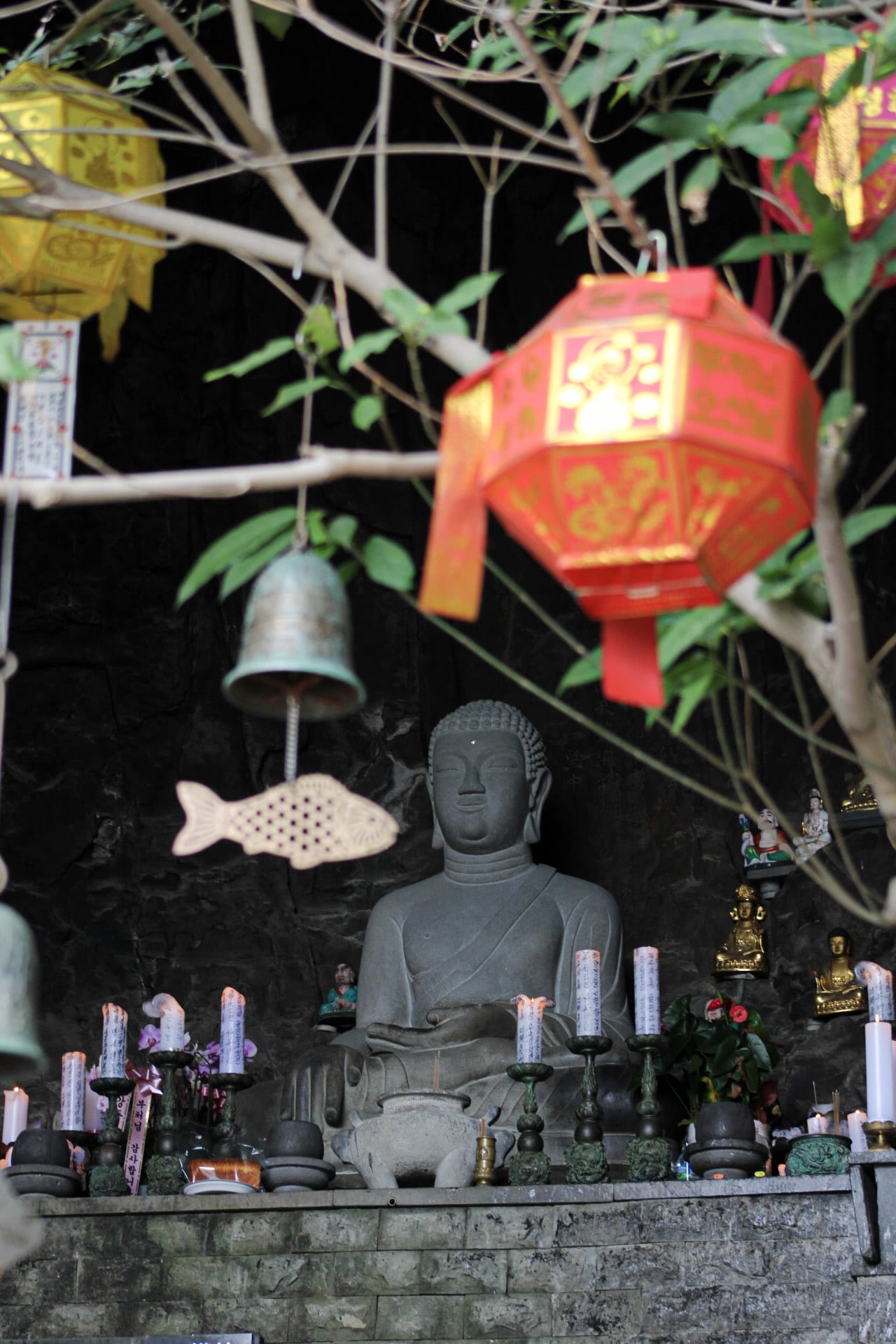 {"caption":[],"type":"external","external":{"url":"https://res.cloudinary.com/dttkrq9dl/image/upload/v1703586529/20231006121349_IMG_1226_1_s0mpjc.jpg"}}