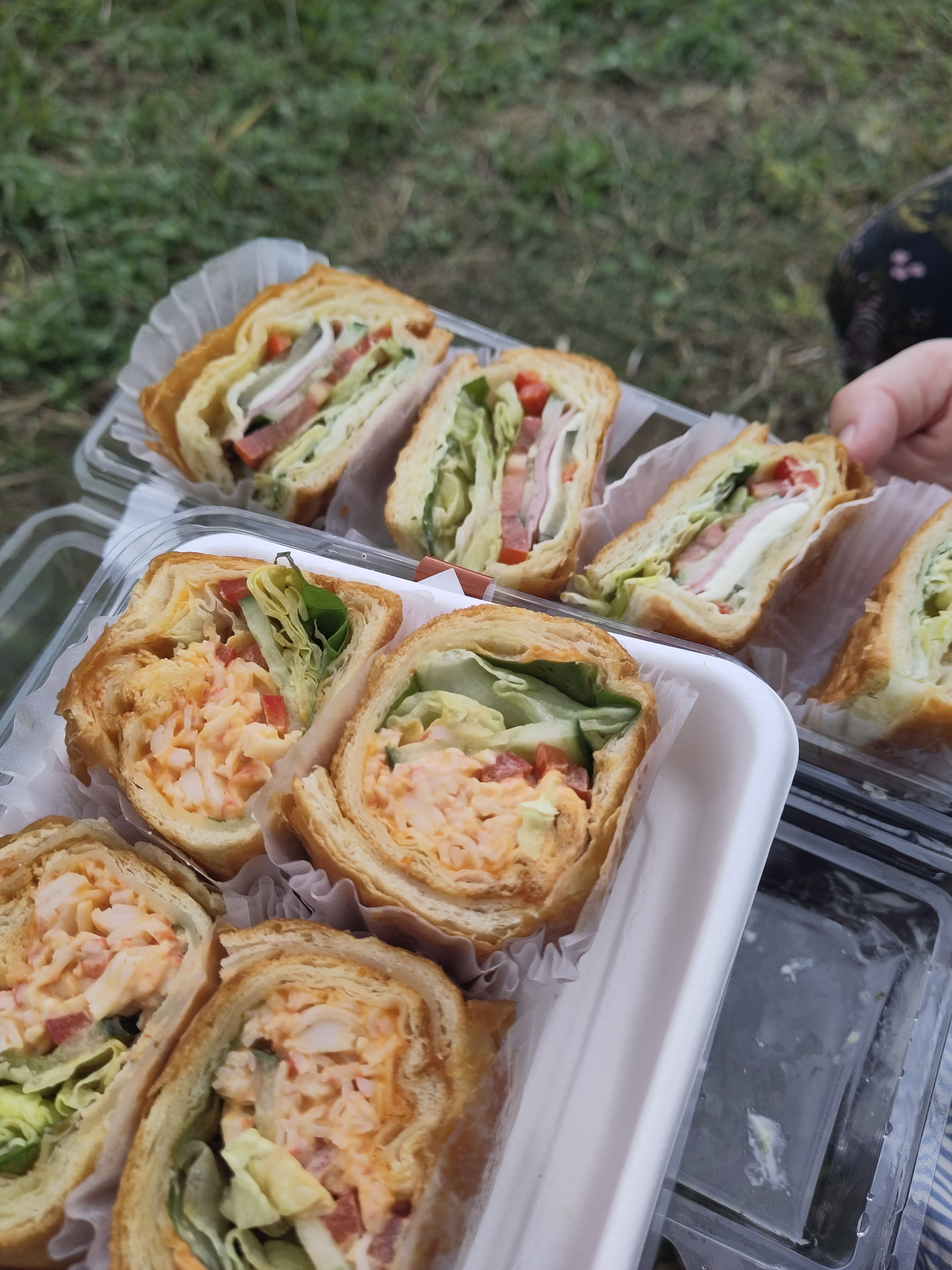 {"caption":[],"type":"external","external":{"url":"https://res.cloudinary.com/dttkrq9dl/image/upload/v1703586540/IMG_20231007_141711_1_il50dk.jpg"}}