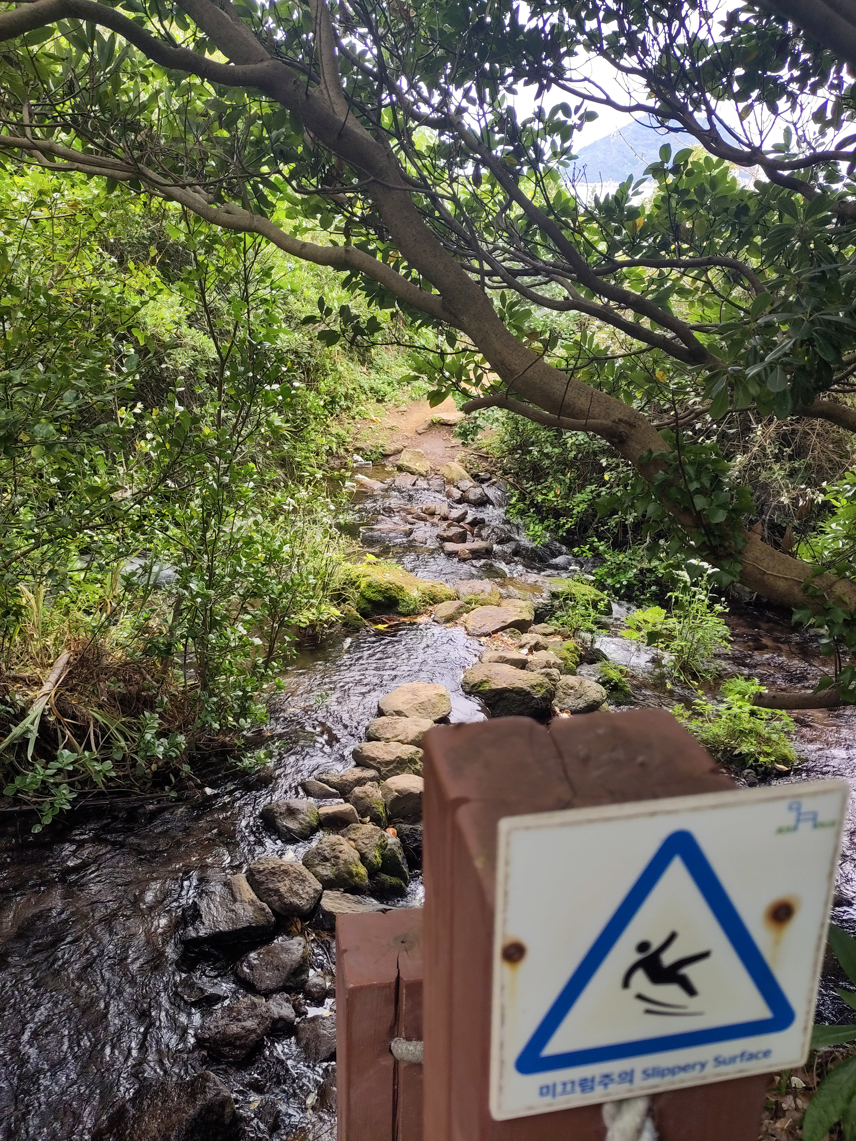 {"caption":[{"type":"text","text":{"content":"Concentration maximale pour ne pas tomber sur ce passage inondé par une petite cascade","link":null},"annotations":{"bold":false,"italic":false,"strikethrough":false,"underline":false,"code":false,"color":"default"},"plain_text":"Concentration maximale pour ne pas tomber sur ce passage inondé par une petite cascade","href":null}],"type":"external","external":{"url":"https://res.cloudinary.com/dttkrq9dl/image/upload/v1703589015/IMG_20231007_131610_1_wis0qu.jpg"}}