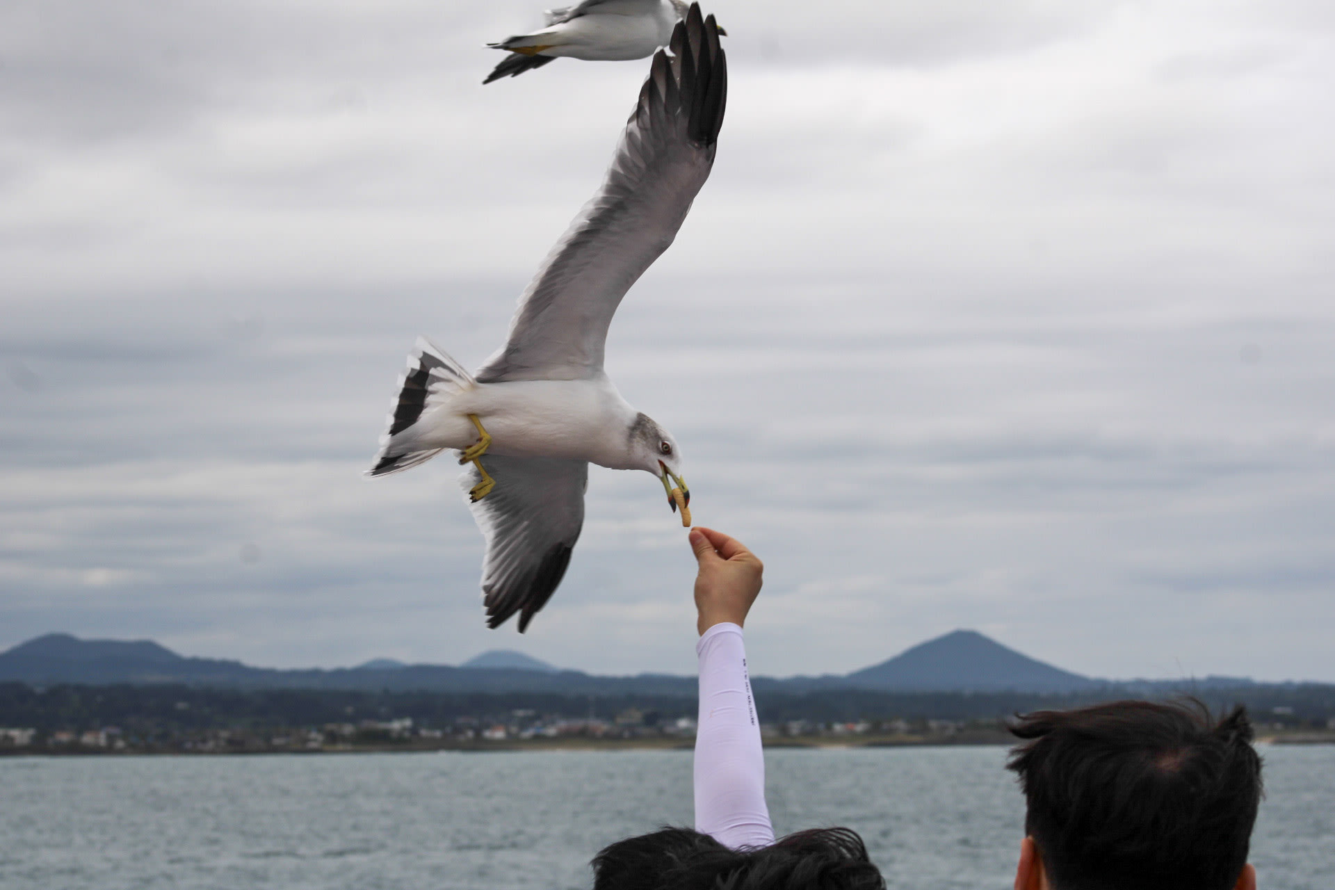 {"caption":[],"type":"external","external":{"url":"https://res.cloudinary.com/dttkrq9dl/image/upload/v1705041550/31-20231009131314_IMG_1485_u6rqtm.jpg"}}