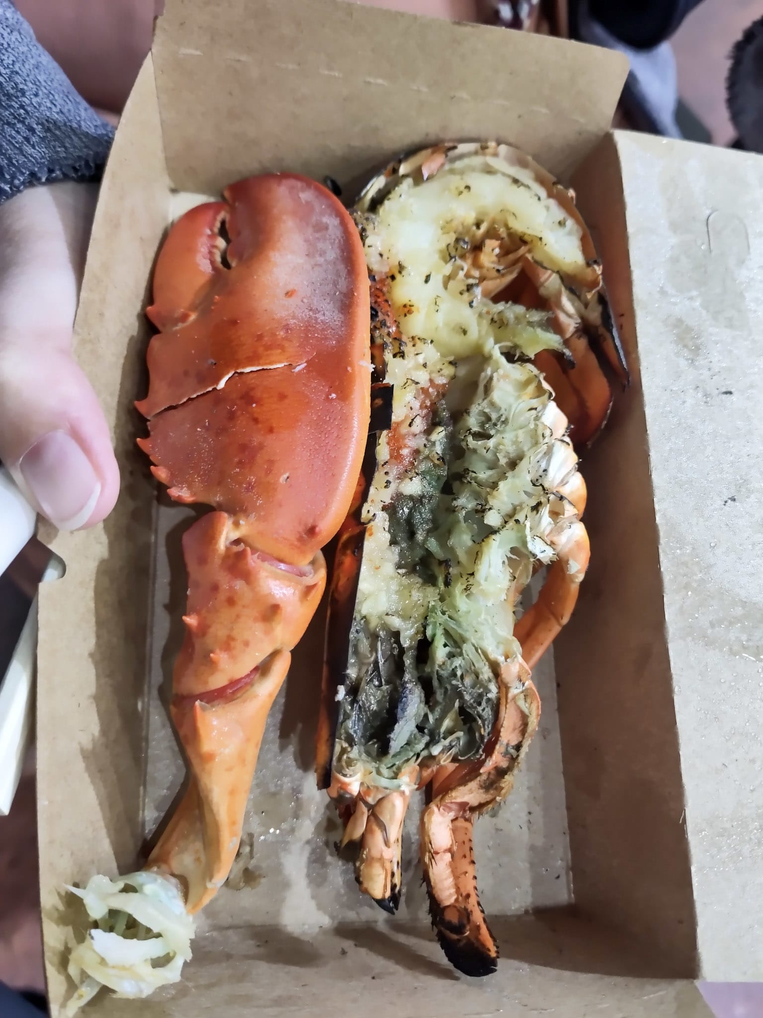 {"caption":[{"type":"text","text":{"content":"Une pince et littéralement la moitié du corps","link":null},"annotations":{"bold":false,"italic":false,"strikethrough":false,"underline":false,"code":false,"color":"default"},"plain_text":"Une pince et littéralement la moitié du corps","href":null}],"type":"external","external":{"url":"https://res.cloudinary.com/dttkrq9dl/image/upload/v1705041553/15-IMG_20231008_202749_mdy4qg.jpg"}}