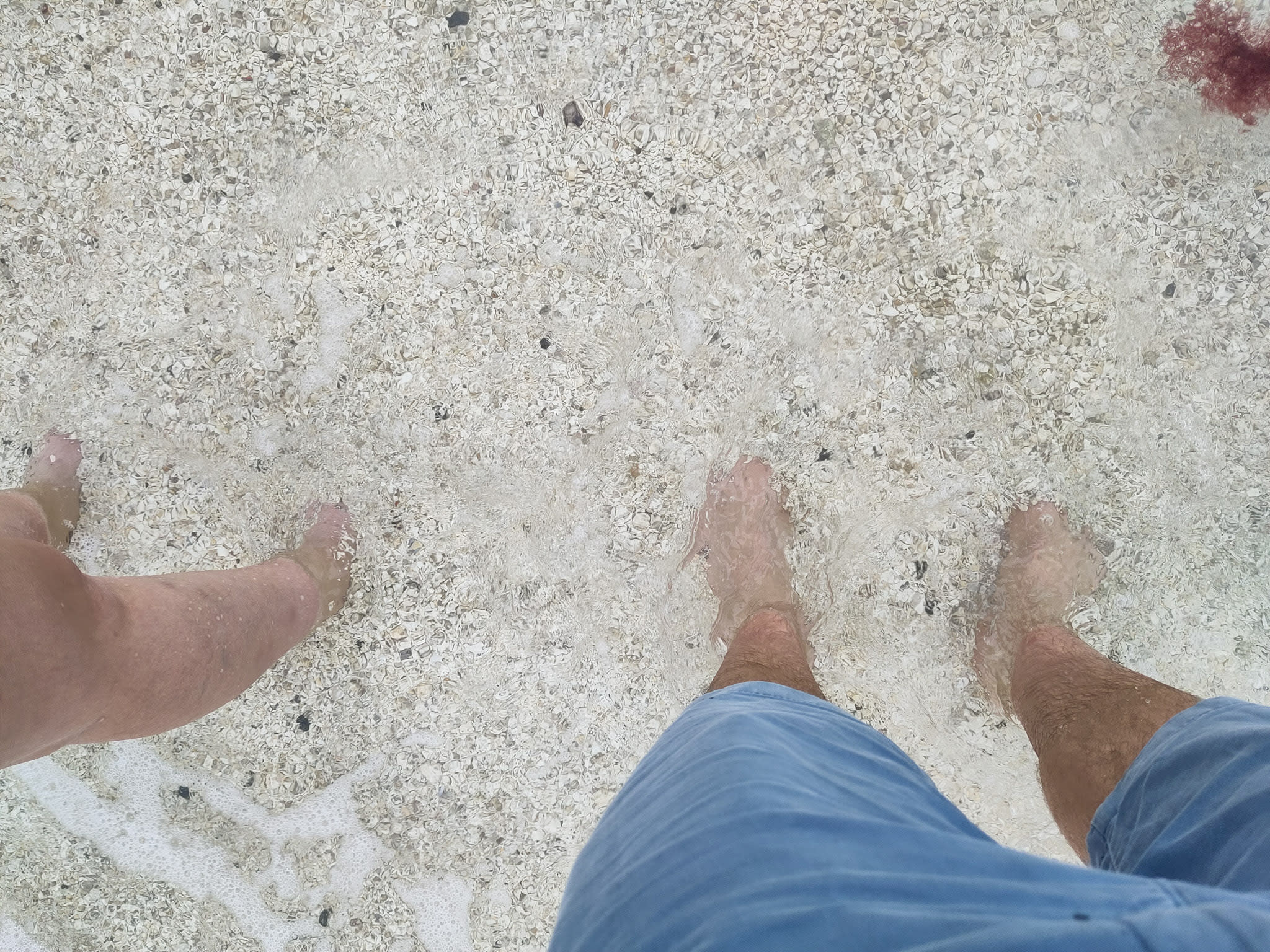 {"caption":[],"type":"external","external":{"url":"https://res.cloudinary.com/dttkrq9dl/image/upload/v1705041558/14-IMG_20231009_160954_tkfiou.jpg"}}