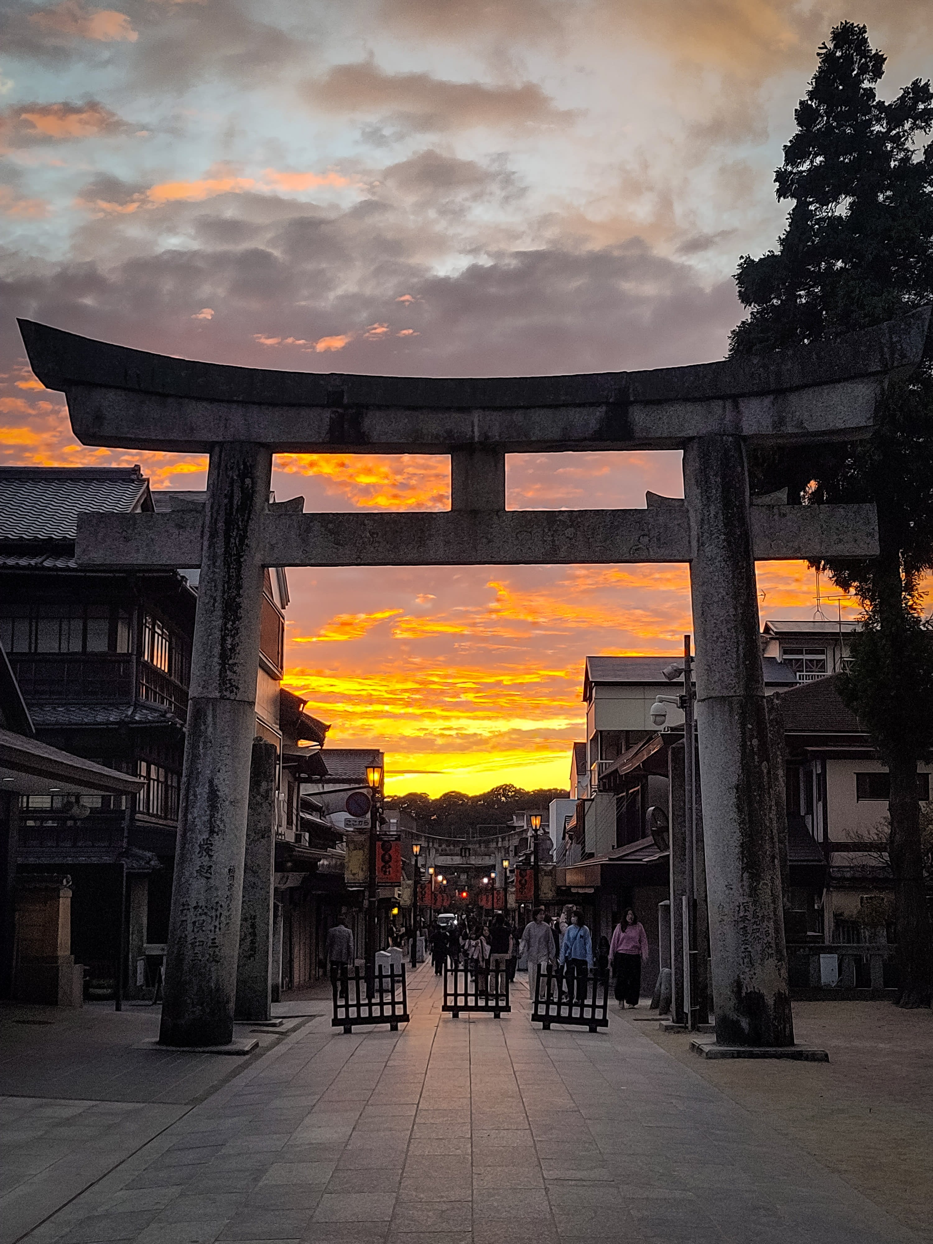 {"caption":[],"type":"external","external":{"url":"https://res.cloudinary.com/dttkrq9dl/image/upload/v1709945761/IMG_20231014_174651_pgak5r.jpg"}}