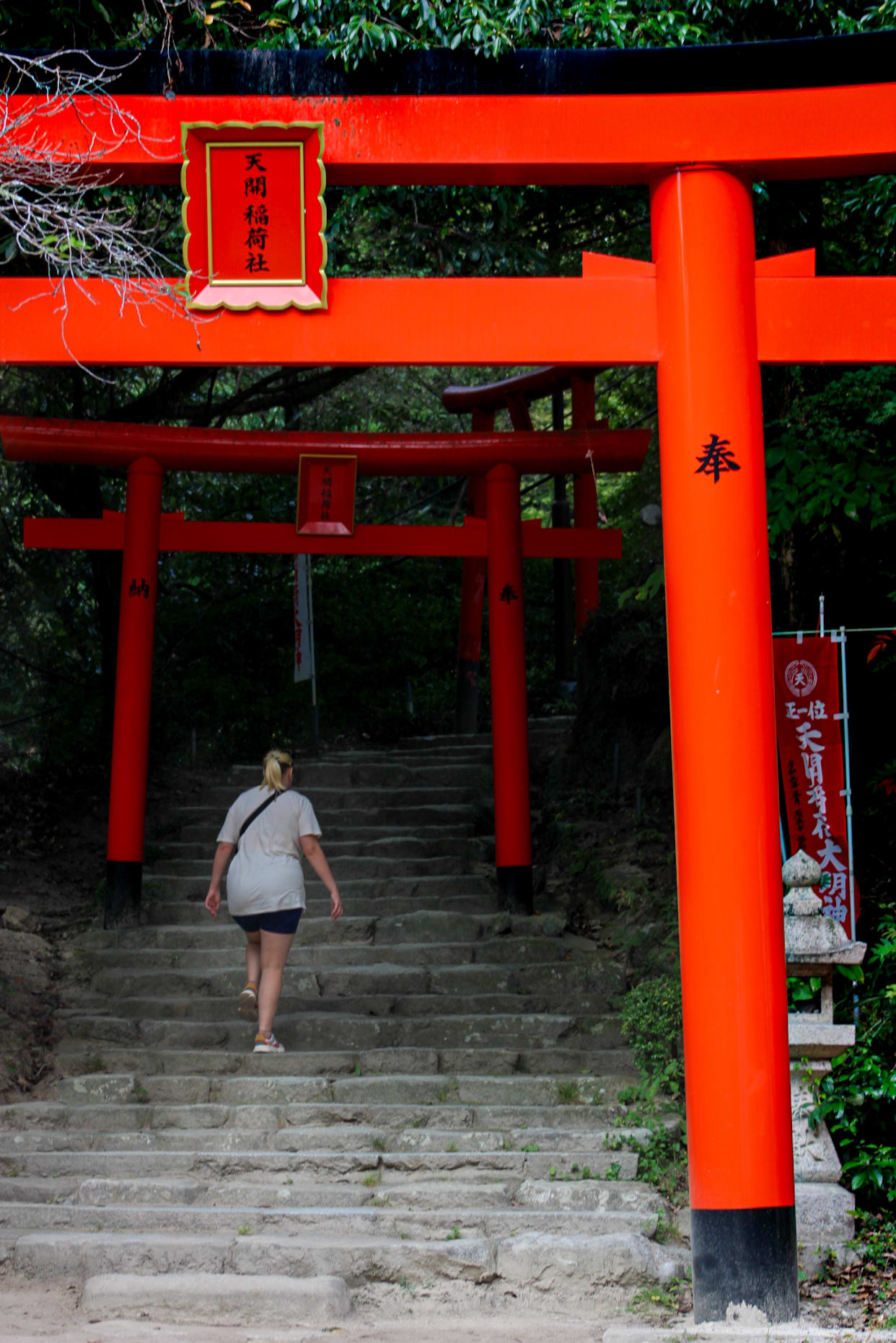 {"caption":[{"type":"text","text":{"content":"On n’est pas au fameux temple de Kyoto mais le décor est tout aussi sympa, avec beaucoup moins de monde !","link":null},"annotations":{"bold":false,"italic":false,"strikethrough":false,"underline":false,"code":false,"color":"default"},"plain_text":"On n’est pas au fameux temple de Kyoto mais le décor est tout aussi sympa, avec beaucoup moins de monde !","href":null}],"type":"external","external":{"url":"https://res.cloudinary.com/dttkrq9dl/image/upload/v1709947447/20231014144155_IMG_1790_1_ntstcq.jpg"}}