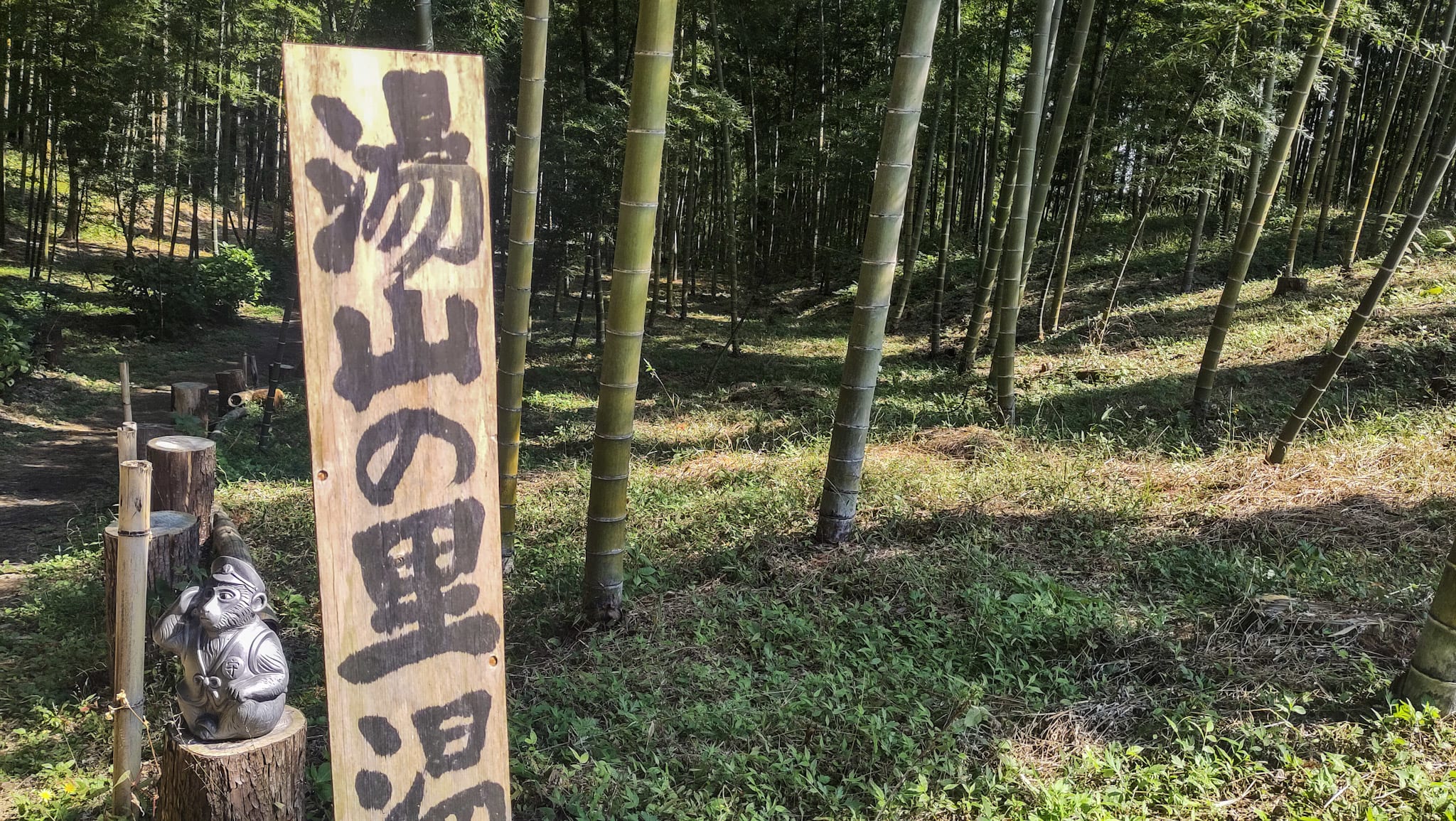 {"caption":[],"type":"external","external":{"url":"https://res.cloudinary.com/dttkrq9dl/image/upload/v1712392230/IMG_20231019_111321_zwr7j8.jpg"}}