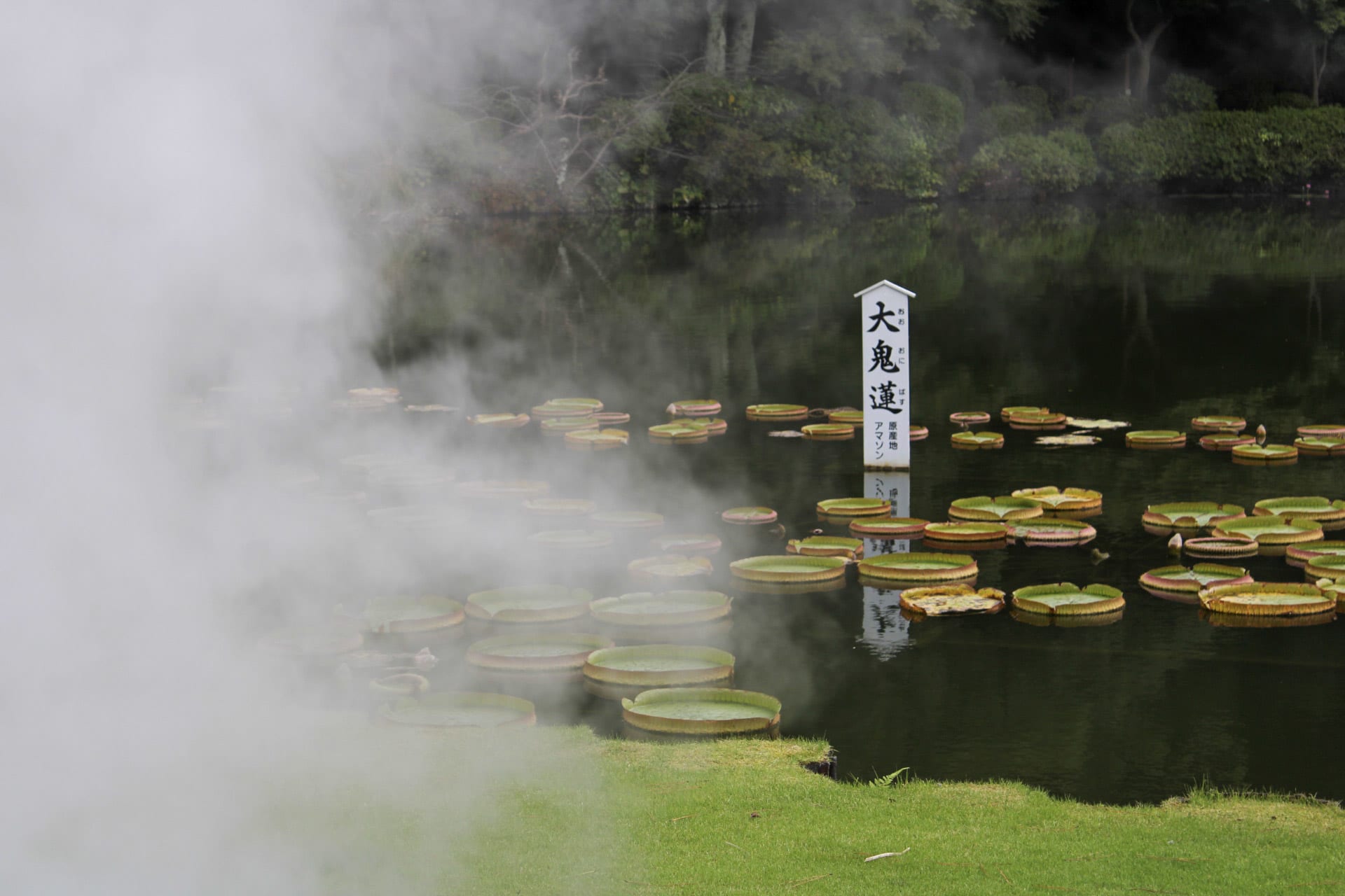 {"caption":[],"type":"external","external":{"url":"https://res.cloudinary.com/dttkrq9dl/image/upload/v1712393252/20231020121538_IMG_2195_drkwtg.jpg"}}