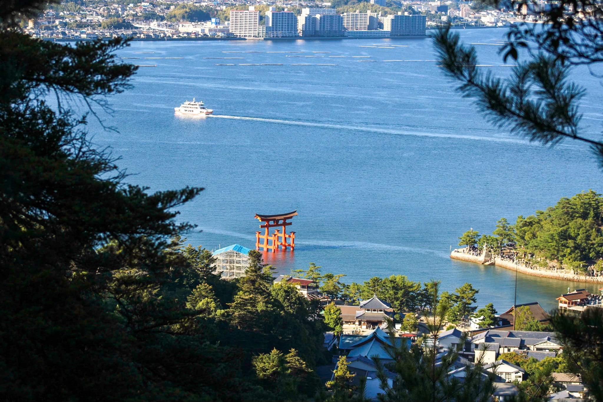 {"caption":[{"type":"text","text":{"content":"On est déjà assez haut ici","link":null},"annotations":{"bold":false,"italic":false,"strikethrough":false,"underline":false,"code":false,"color":"default"},"plain_text":"On est déjà assez haut ici","href":null}],"type":"external","external":{"url":"https://res.cloudinary.com/dttkrq9dl/image/upload/v1720344642/IMG_2614_kl4oph.jpg"}}