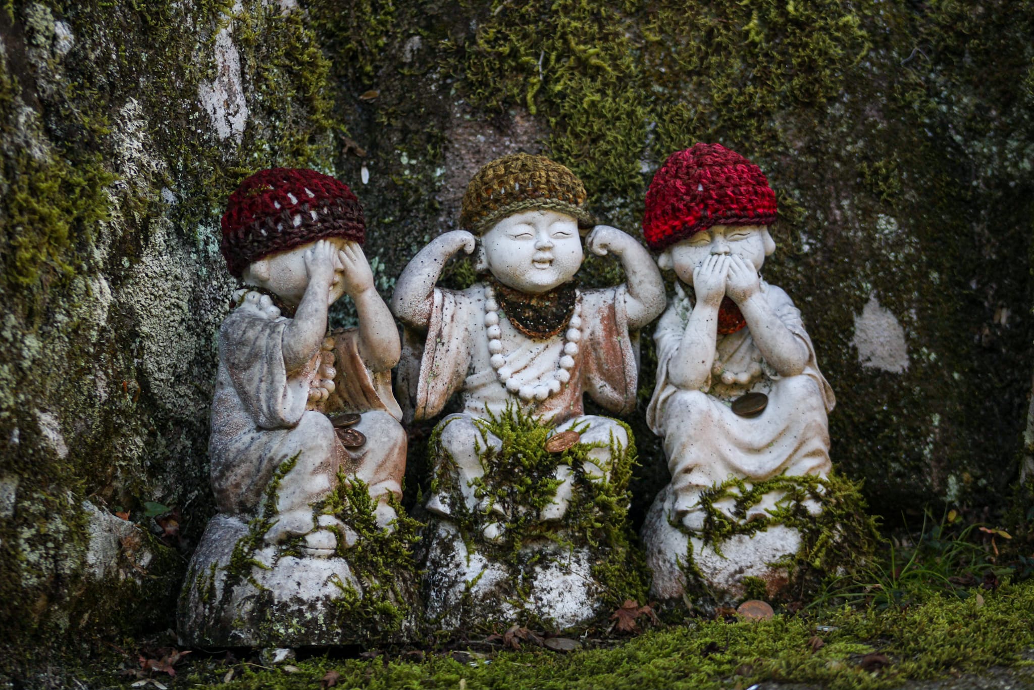 {"caption":[],"type":"external","external":{"url":"https://res.cloudinary.com/dttkrq9dl/image/upload/v1720344671/IMG_2573_1_g6mgtr.jpg"}}