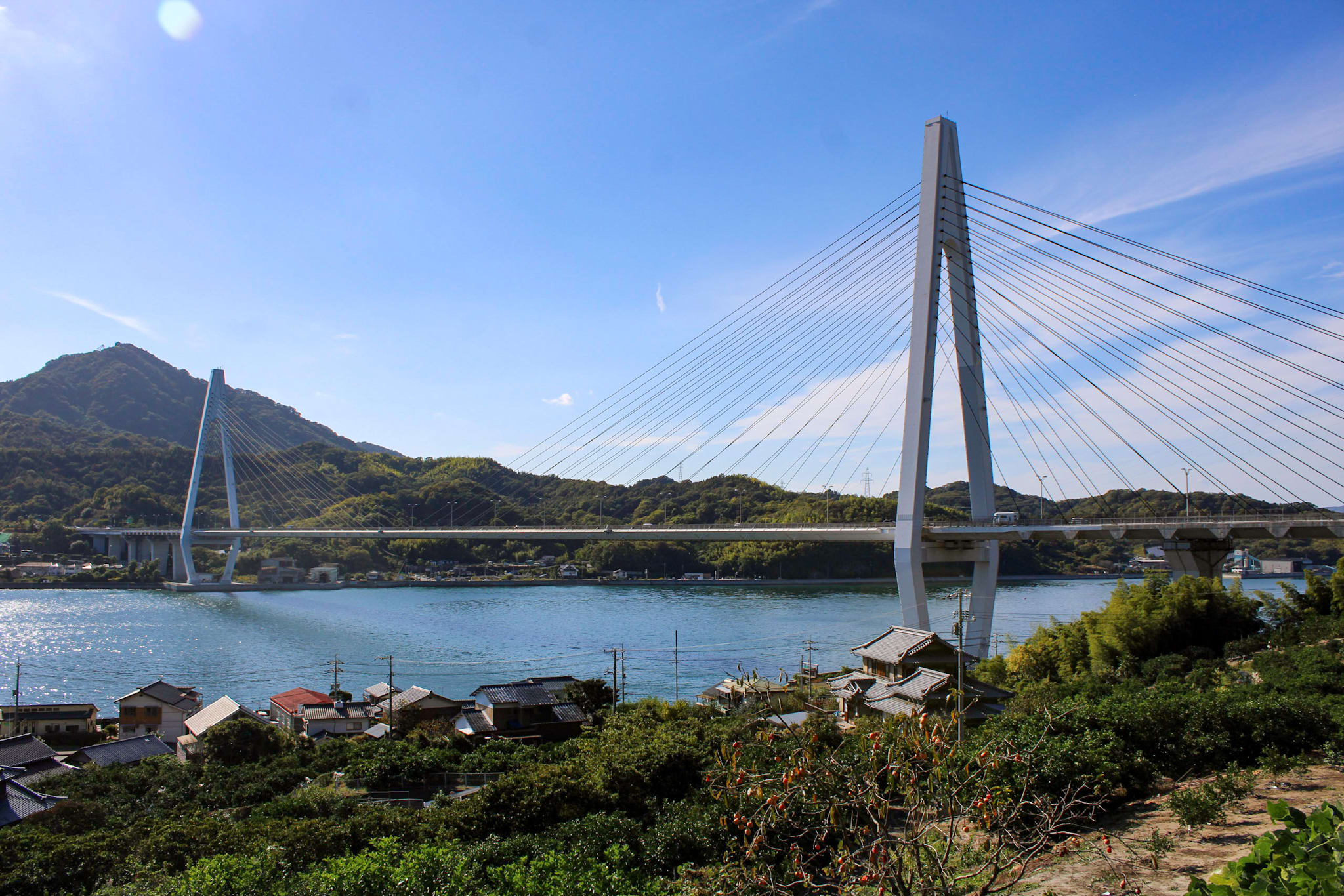 {"caption":[],"type":"external","external":{"url":"https://res.cloudinary.com/dttkrq9dl/image/upload/v1720344672/IMG_2443_gkbgax.jpg"}}