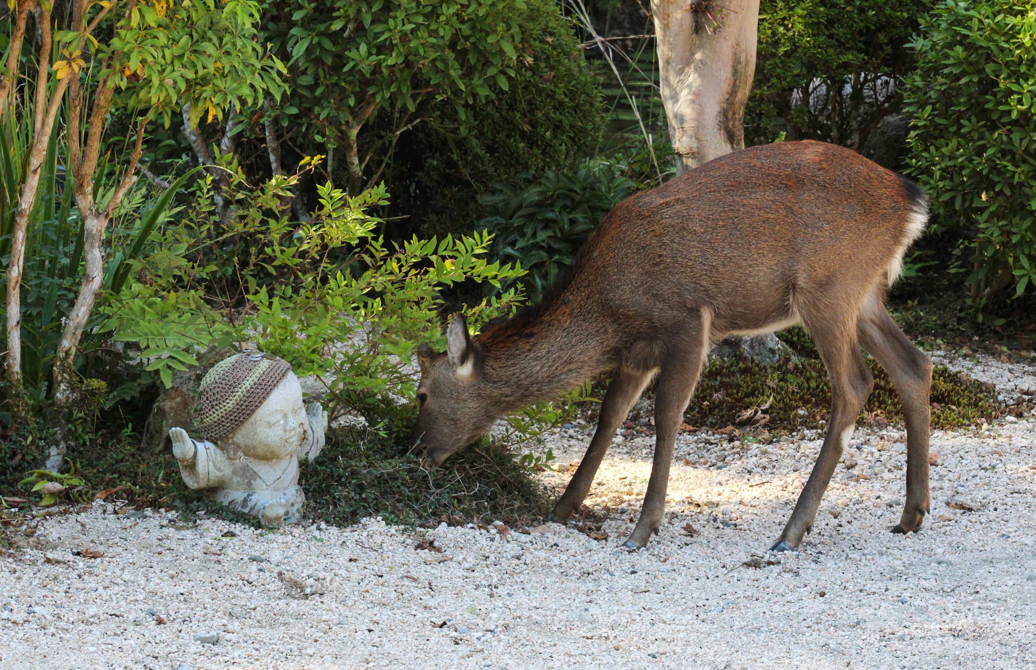 {"caption":[],"type":"external","external":{"url":"https://res.cloudinary.com/dttkrq9dl/image/upload/v1720344675/IMG_2563_1_w4vdzd.jpg"}}