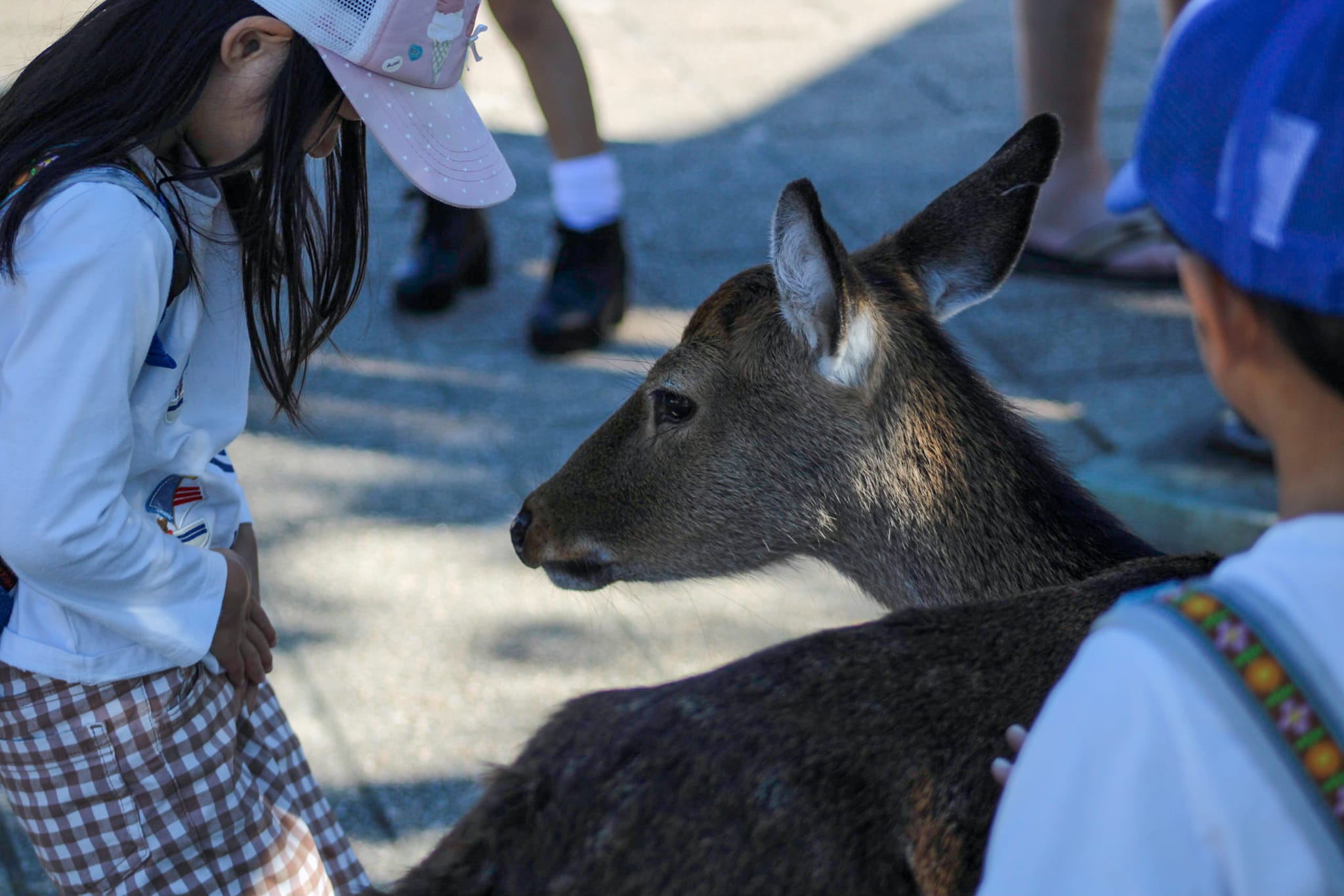 {"caption":[],"type":"external","external":{"url":"https://res.cloudinary.com/dttkrq9dl/image/upload/v1720344694/IMG_2510_xp5prl.jpg"}}