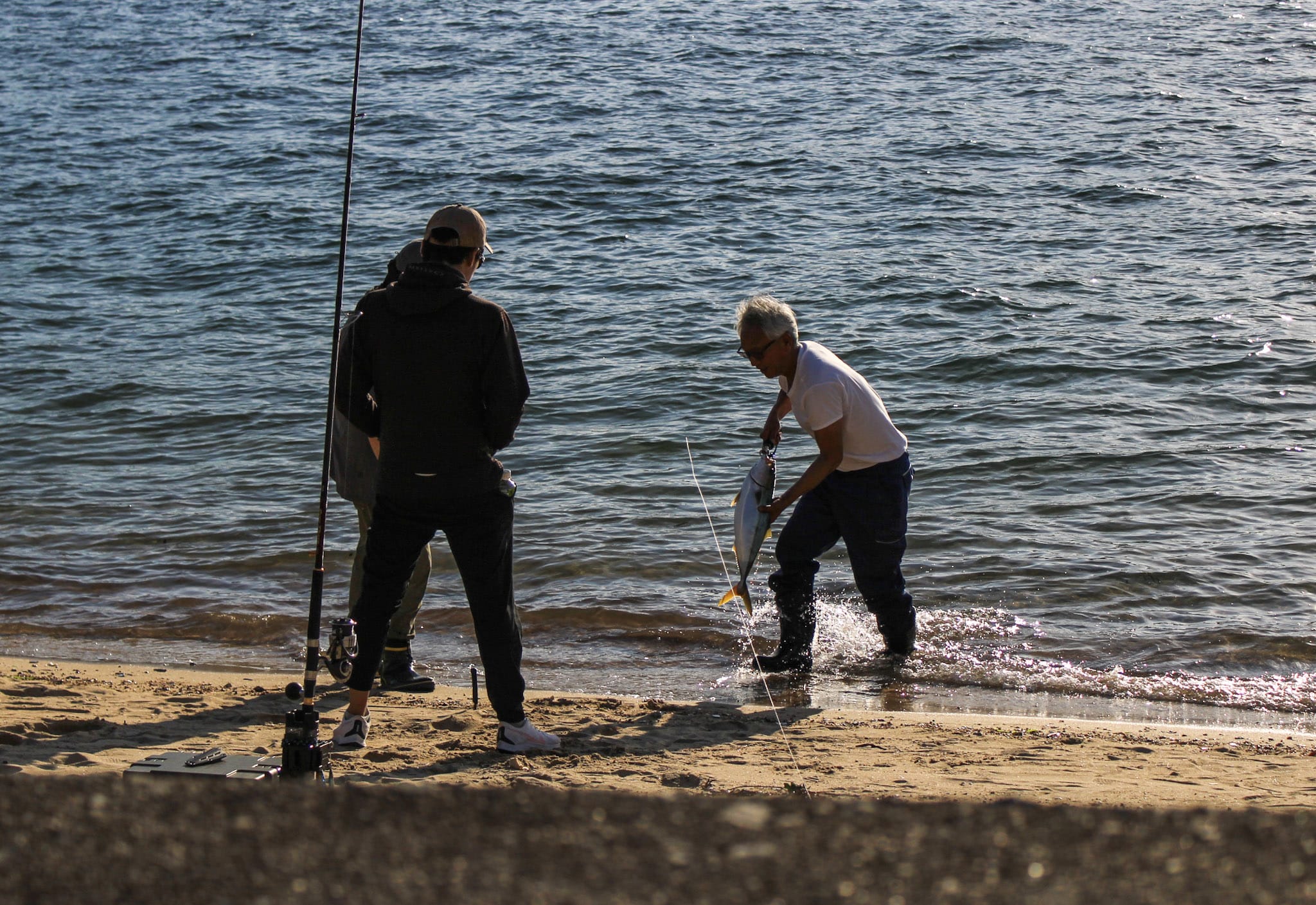 {"caption":[{"type":"text","text":{"content":"Il n’y a pas que les cyclistes qui viennent profiter de la mer","link":null},"annotations":{"bold":false,"italic":false,"strikethrough":false,"underline":false,"code":false,"color":"default"},"plain_text":"Il n’y a pas que les cyclistes qui viennent profiter de la mer","href":null}],"type":"external","external":{"url":"https://res.cloudinary.com/dttkrq9dl/image/upload/v1720636365/IMG_2482_wbi4vx.jpg"}}