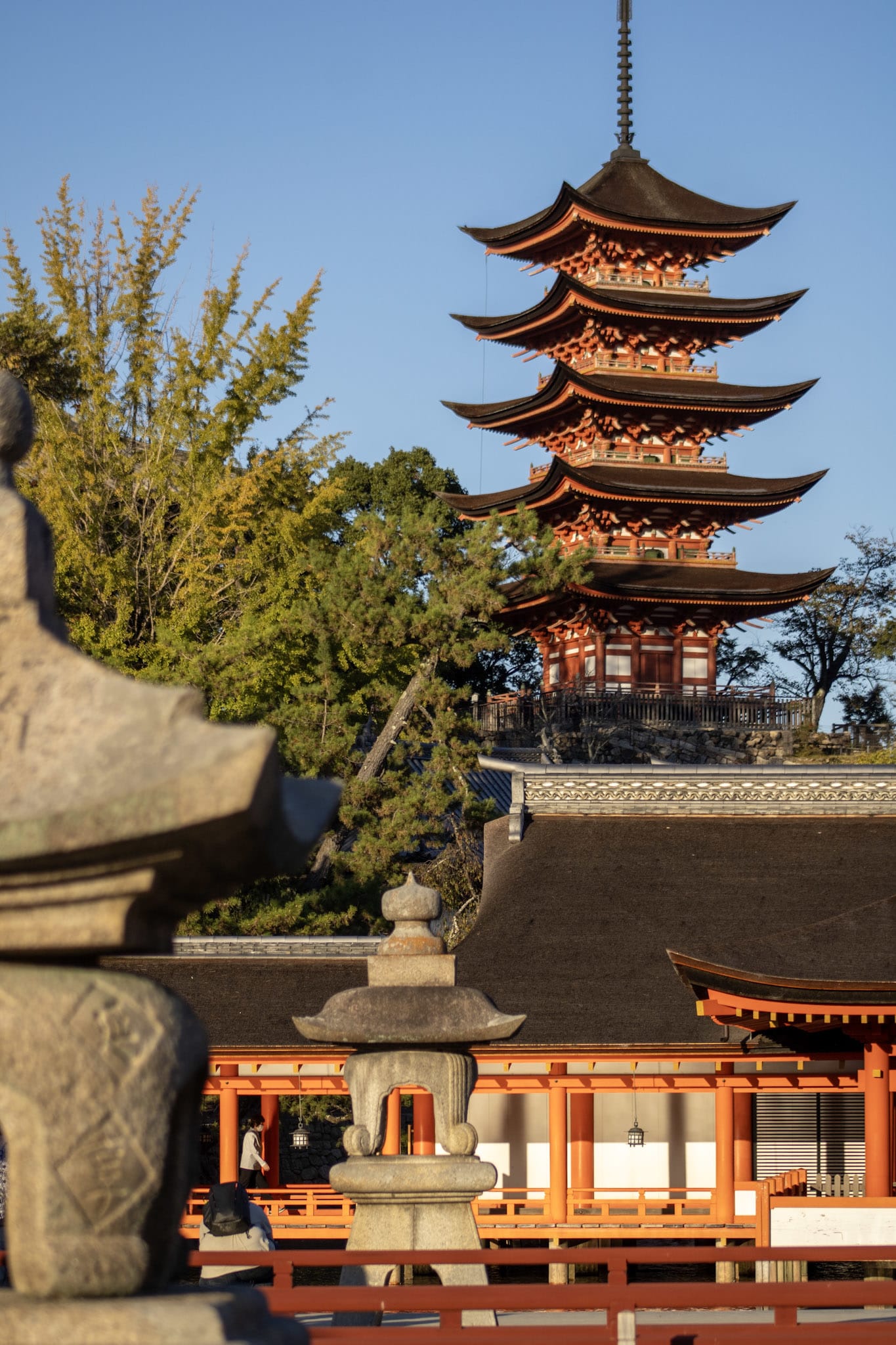 {"caption":[],"type":"external","external":{"url":"https://res.cloudinary.com/dttkrq9dl/image/upload/v1720636365/IMG_2677_tr10wh.jpg"}}