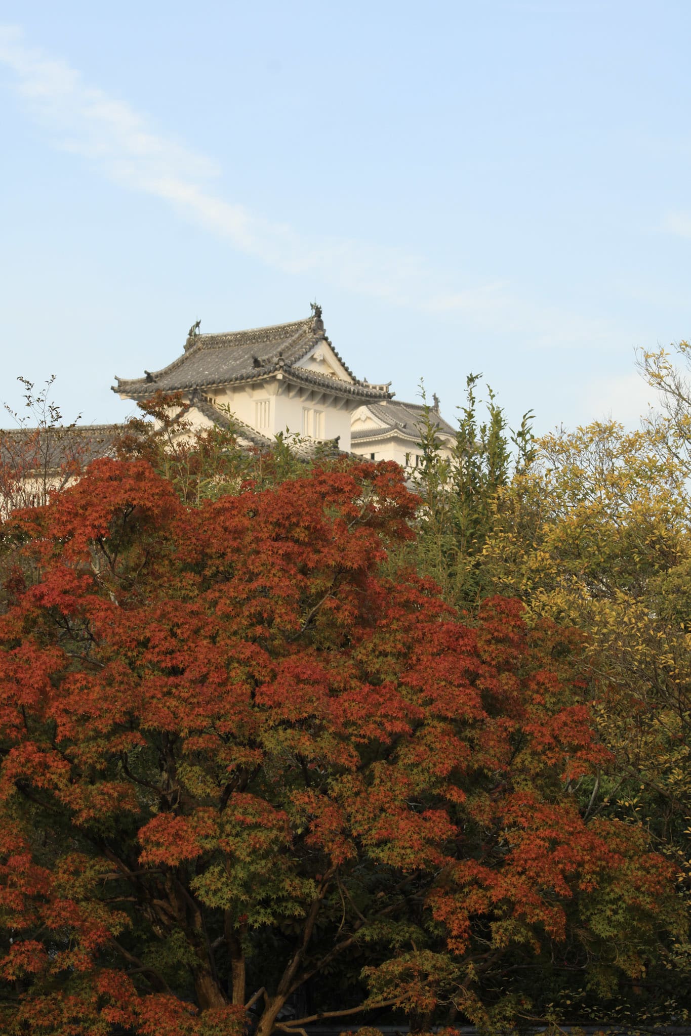 {"caption":[{"type":"text","text":{"content":"En plus les couleurs de l’automne sont un peu là","link":null},"annotations":{"bold":false,"italic":false,"strikethrough":false,"underline":false,"code":false,"color":"default"},"plain_text":"En plus les couleurs de l’automne sont un peu là","href":null}],"type":"external","external":{"url":"https://res.cloudinary.com/dttkrq9dl/image/upload/v1728071803/IMG_2927_nhi6r0.jpg"}}