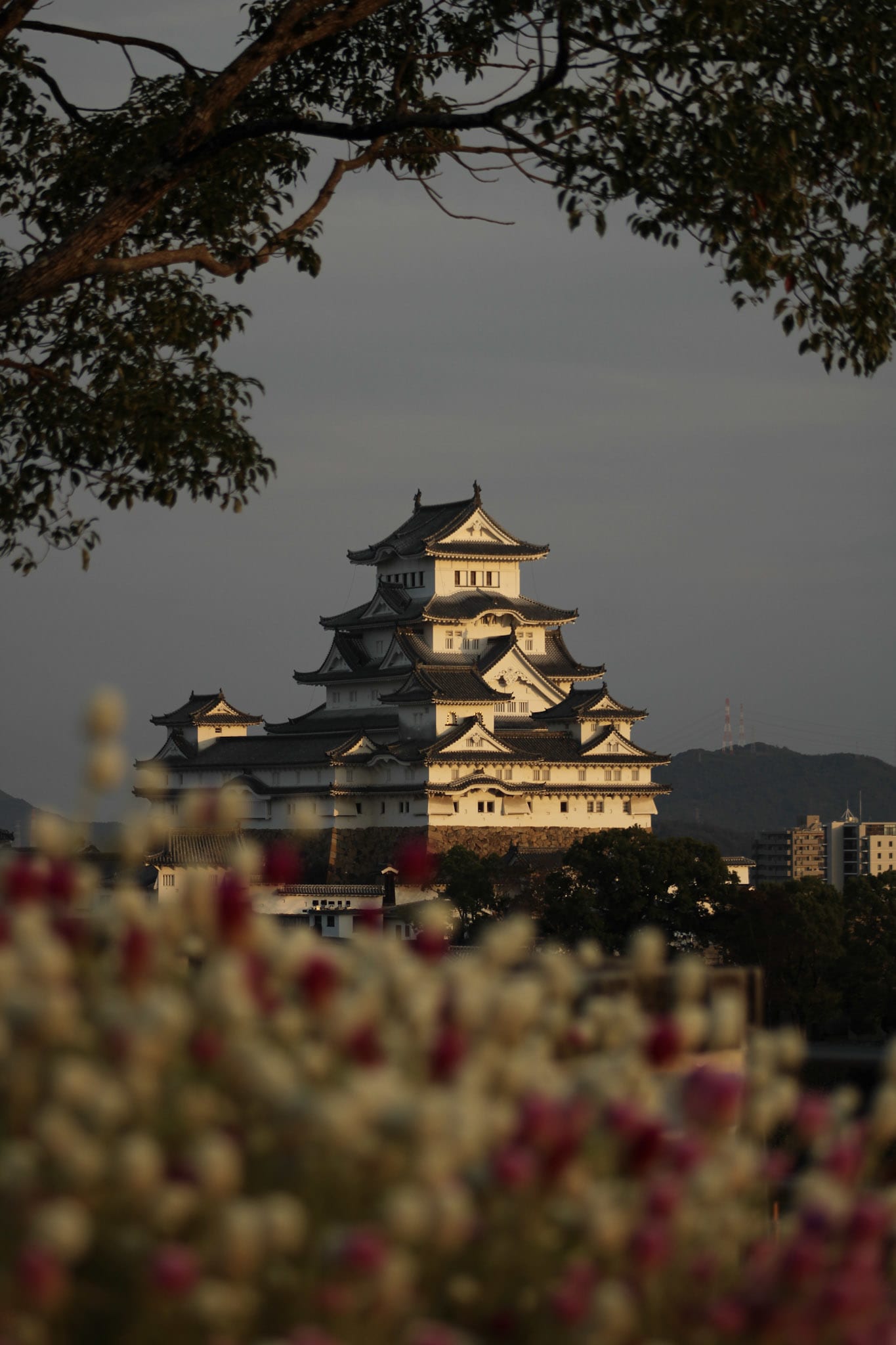 {"caption":[{"type":"text","text":{"content":"On est bien récompensés pour nos efforts","link":null},"annotations":{"bold":false,"italic":false,"strikethrough":false,"underline":false,"code":false,"color":"default"},"plain_text":"On est bien récompensés pour nos efforts","href":null}],"type":"external","external":{"url":"https://res.cloudinary.com/dttkrq9dl/image/upload/v1728071803/IMG_2950_dszwot.jpg"}}