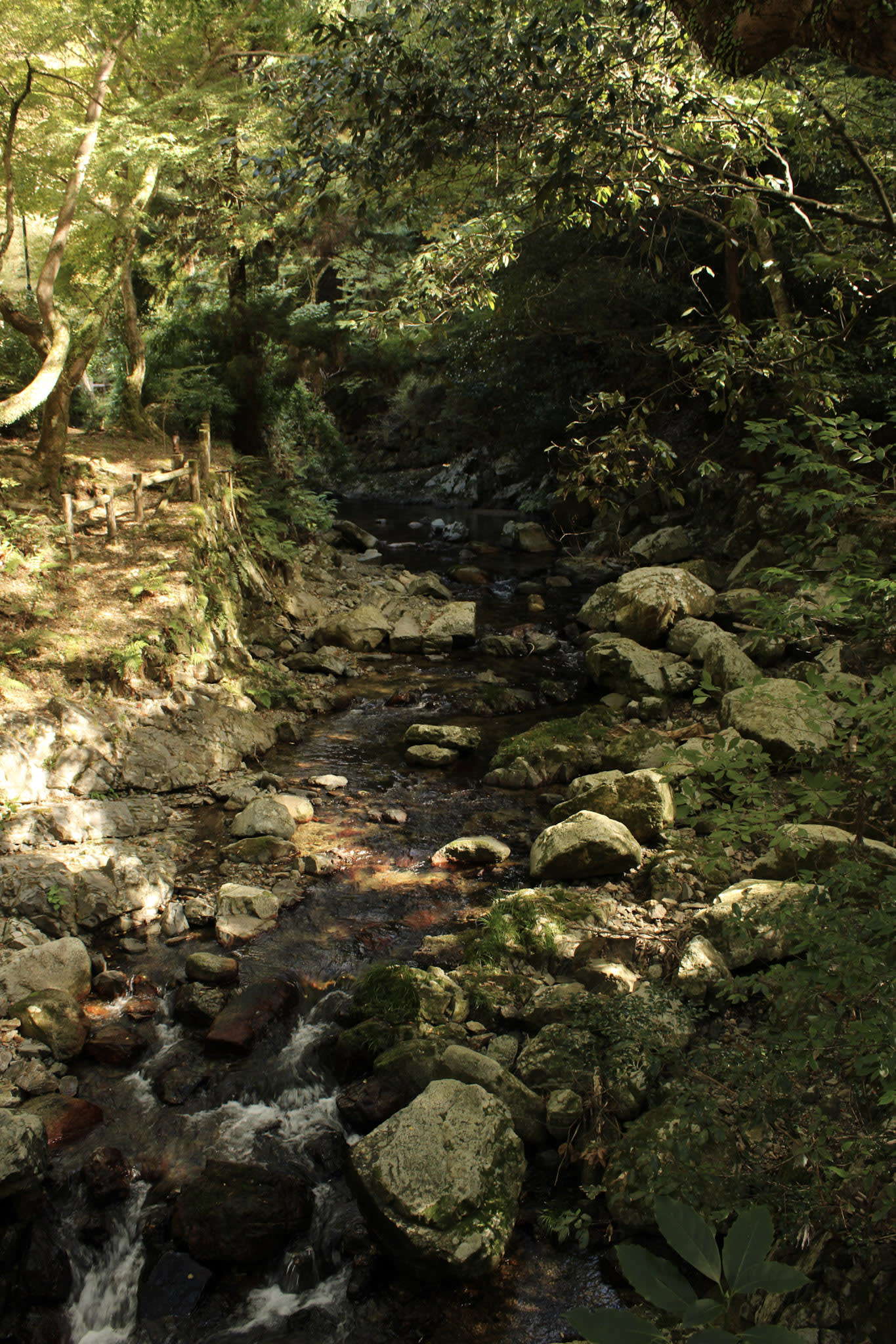 {"caption":[],"type":"external","external":{"url":"https://res.cloudinary.com/dttkrq9dl/image/upload/v1728071804/IMG_3079_voo3pk.jpg"}}