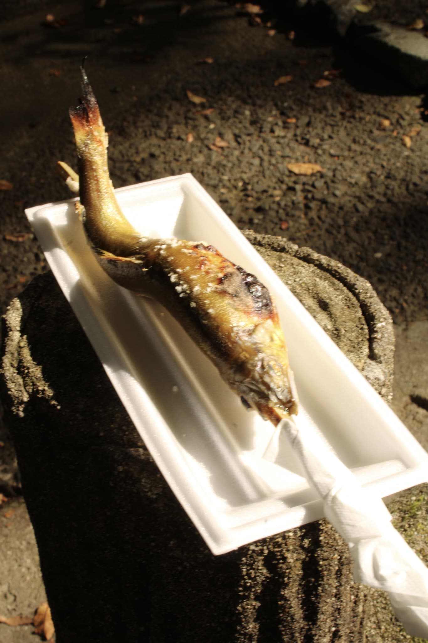 {"caption":[],"type":"external","external":{"url":"https://res.cloudinary.com/dttkrq9dl/image/upload/v1728071804/IMG_3122_qhrdse.jpg"}}