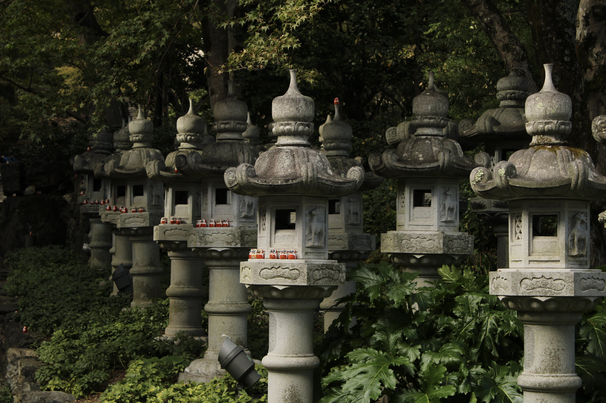 {"caption":[{"type":"text","text":{"content":"Ça y est on commence à les voir","link":null},"annotations":{"bold":false,"italic":false,"strikethrough":false,"underline":false,"code":false,"color":"default"},"plain_text":"Ça y est on commence à les voir","href":null}],"type":"external","external":{"url":"https://res.cloudinary.com/dttkrq9dl/image/upload/v1728071805/IMG_3143_iewwwh.jpg"}}