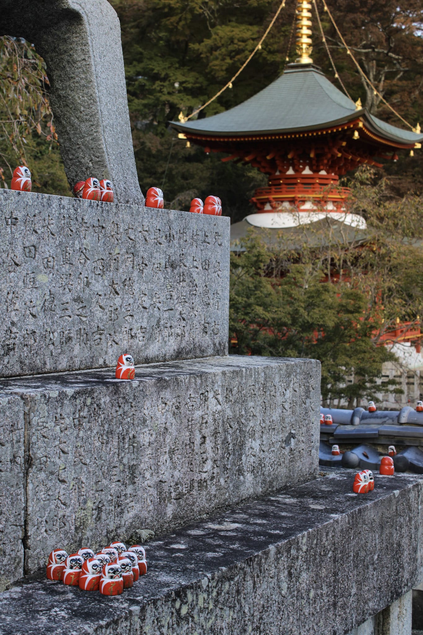 {"caption":[{"type":"text","text":{"content":"Mais aussi sur n’importe quel mur ou arbre","link":null},"annotations":{"bold":false,"italic":false,"strikethrough":false,"underline":false,"code":false,"color":"default"},"plain_text":"Mais aussi sur n’importe quel mur ou arbre","href":null}],"type":"external","external":{"url":"https://res.cloudinary.com/dttkrq9dl/image/upload/v1728071806/IMG_3180_sw7c4b.jpg"}}