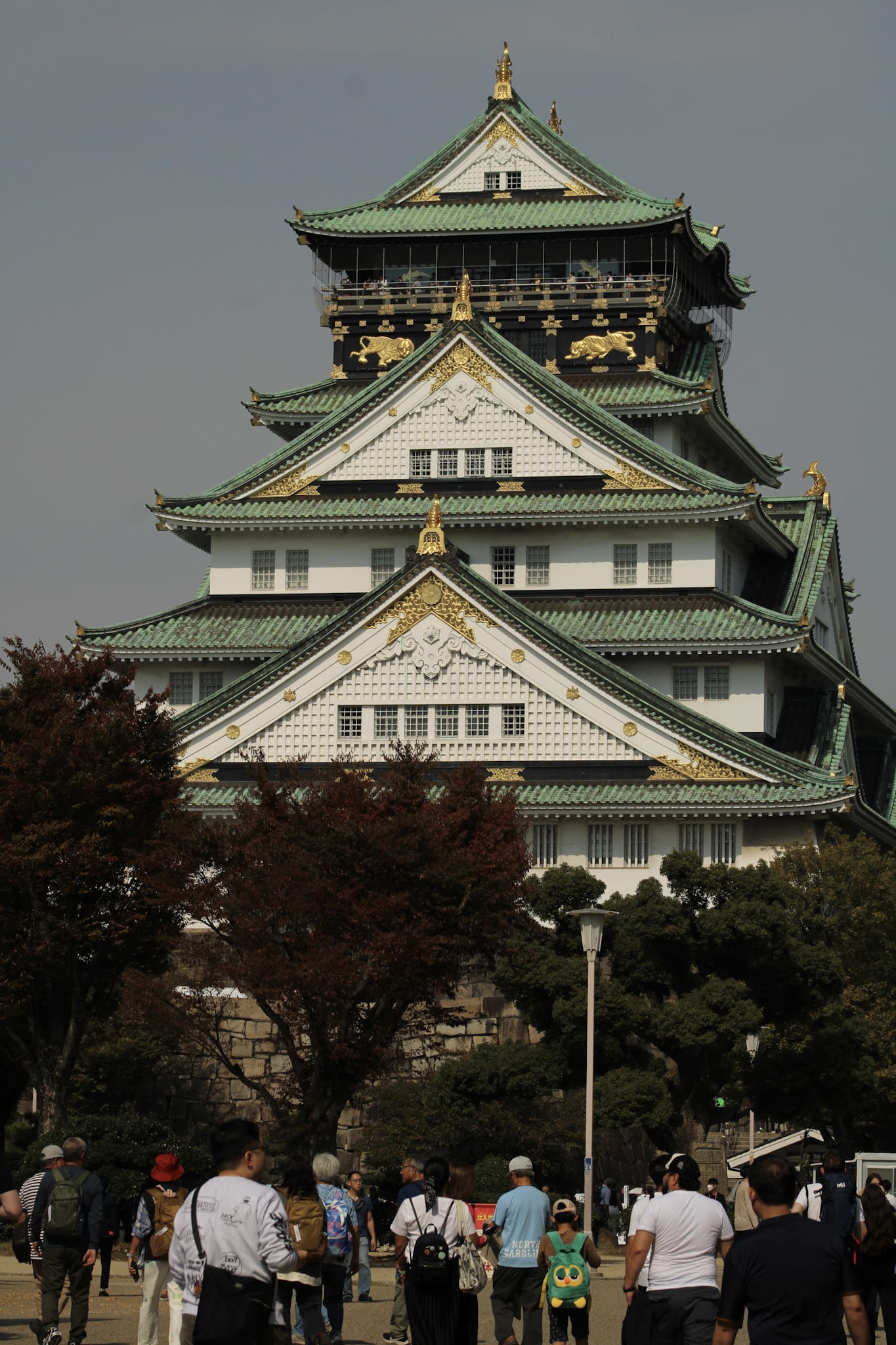 {"caption":[],"type":"external","external":{"url":"https://res.cloudinary.com/dttkrq9dl/image/upload/v1728073855/6-IMG_2976_gfqg0r.jpg"}}