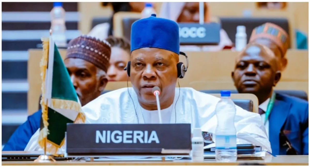 ECOWAS Summit Exposes Nigeria’s Diplomatic Isolation Risks