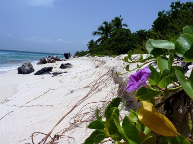 Isla Catalina — Beaches in Dominican Republic