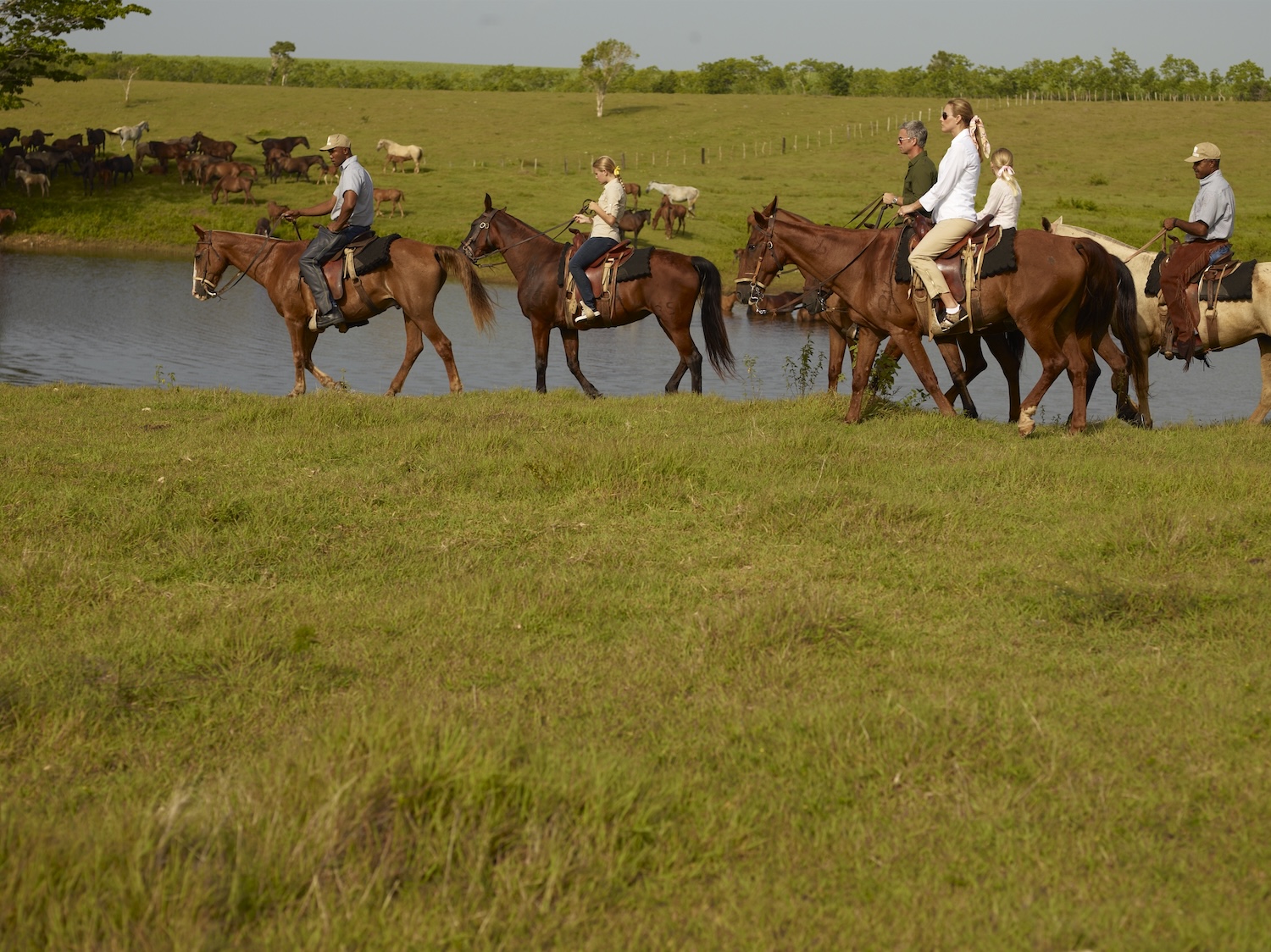 Casa de Campo Equestrian Center & Polo Club — Excursions in Dominican Republic